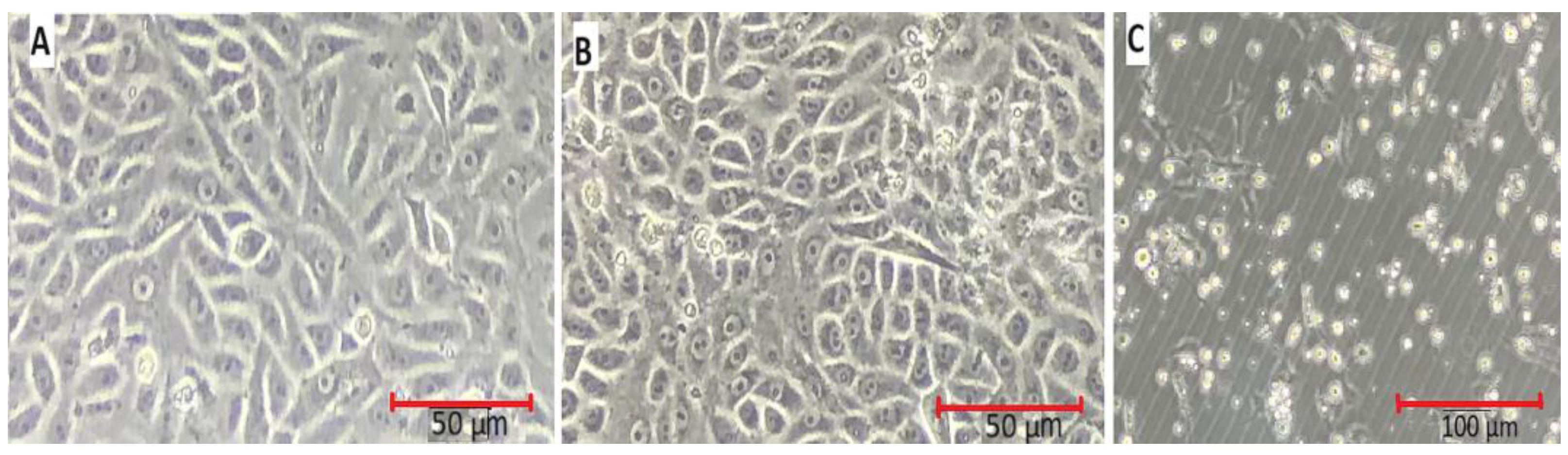 Biomolecules 13 01785 g008