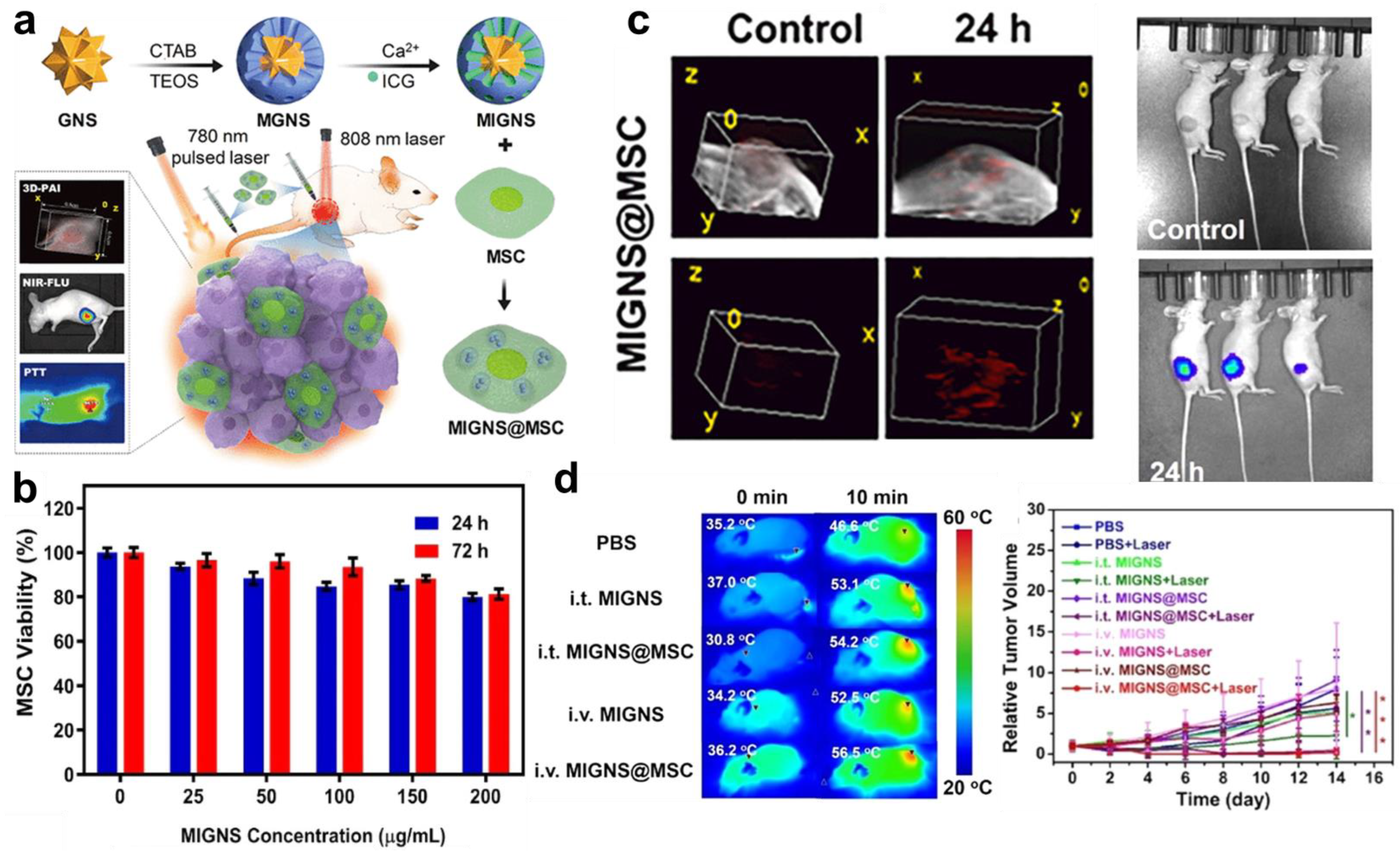 Biomolecules 13 01787 g005