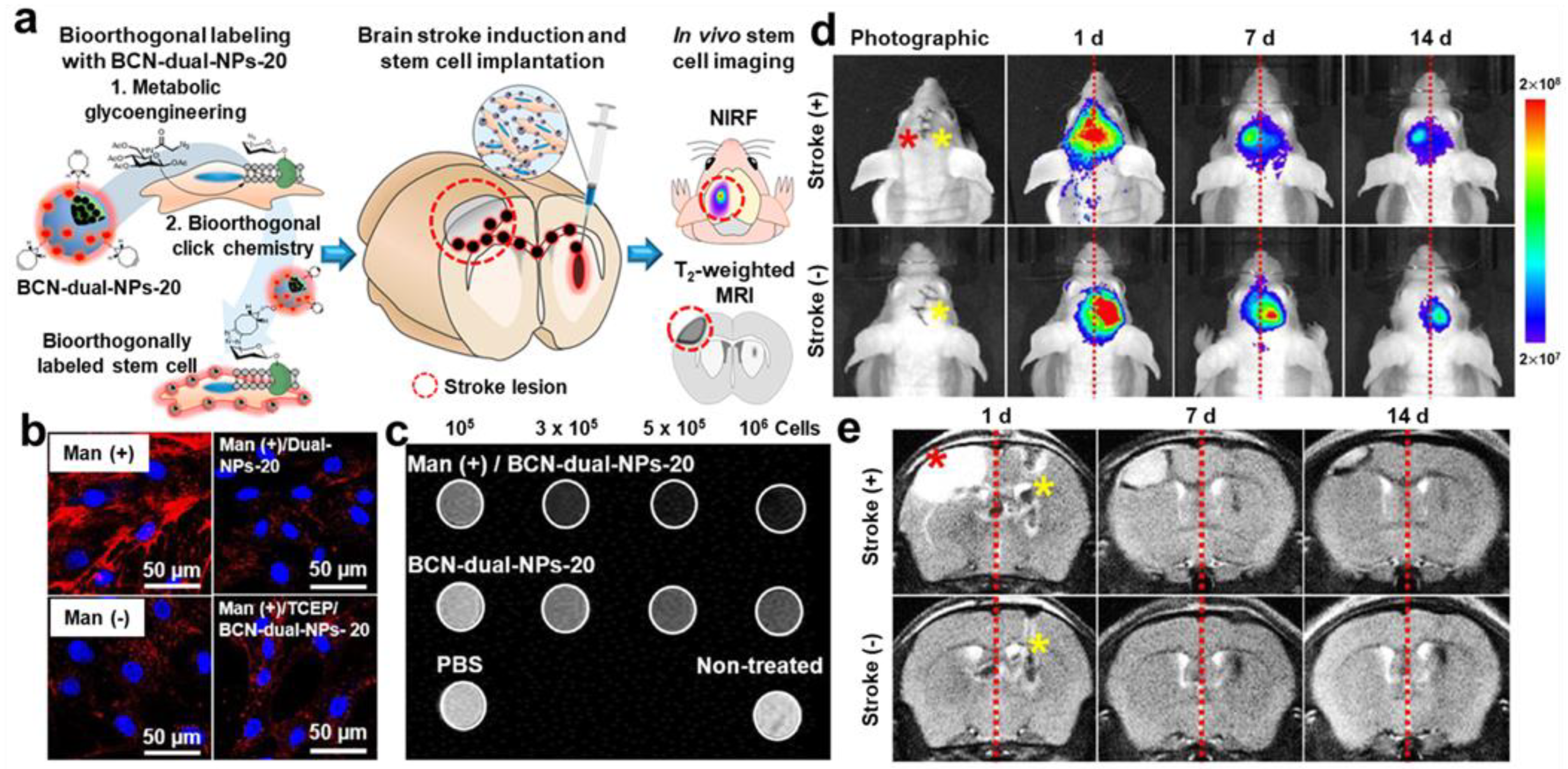 Biomolecules 13 01787 g006