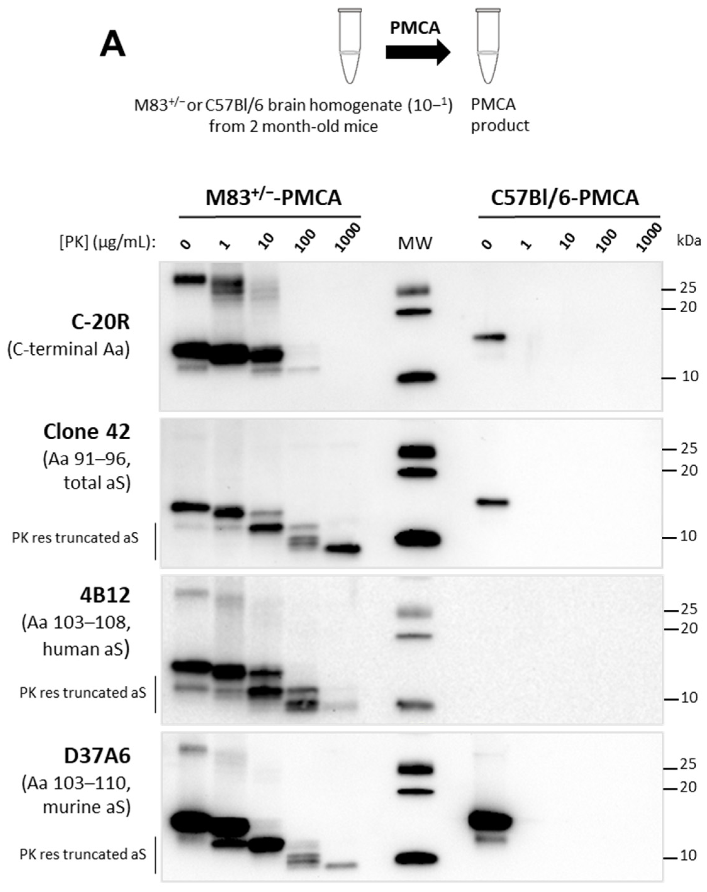 Biomolecules 13 01788 g001a