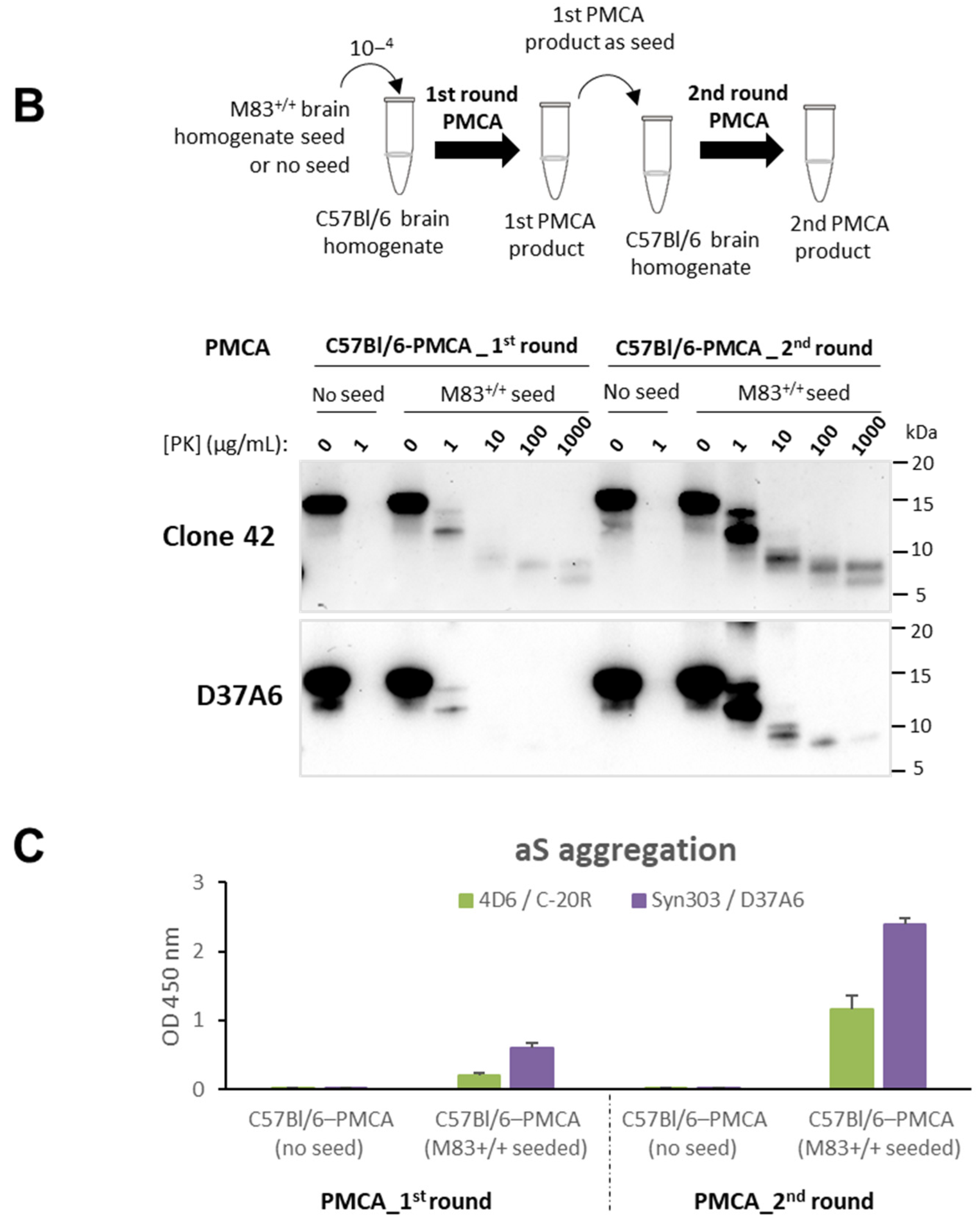 Biomolecules 13 01788 g001b