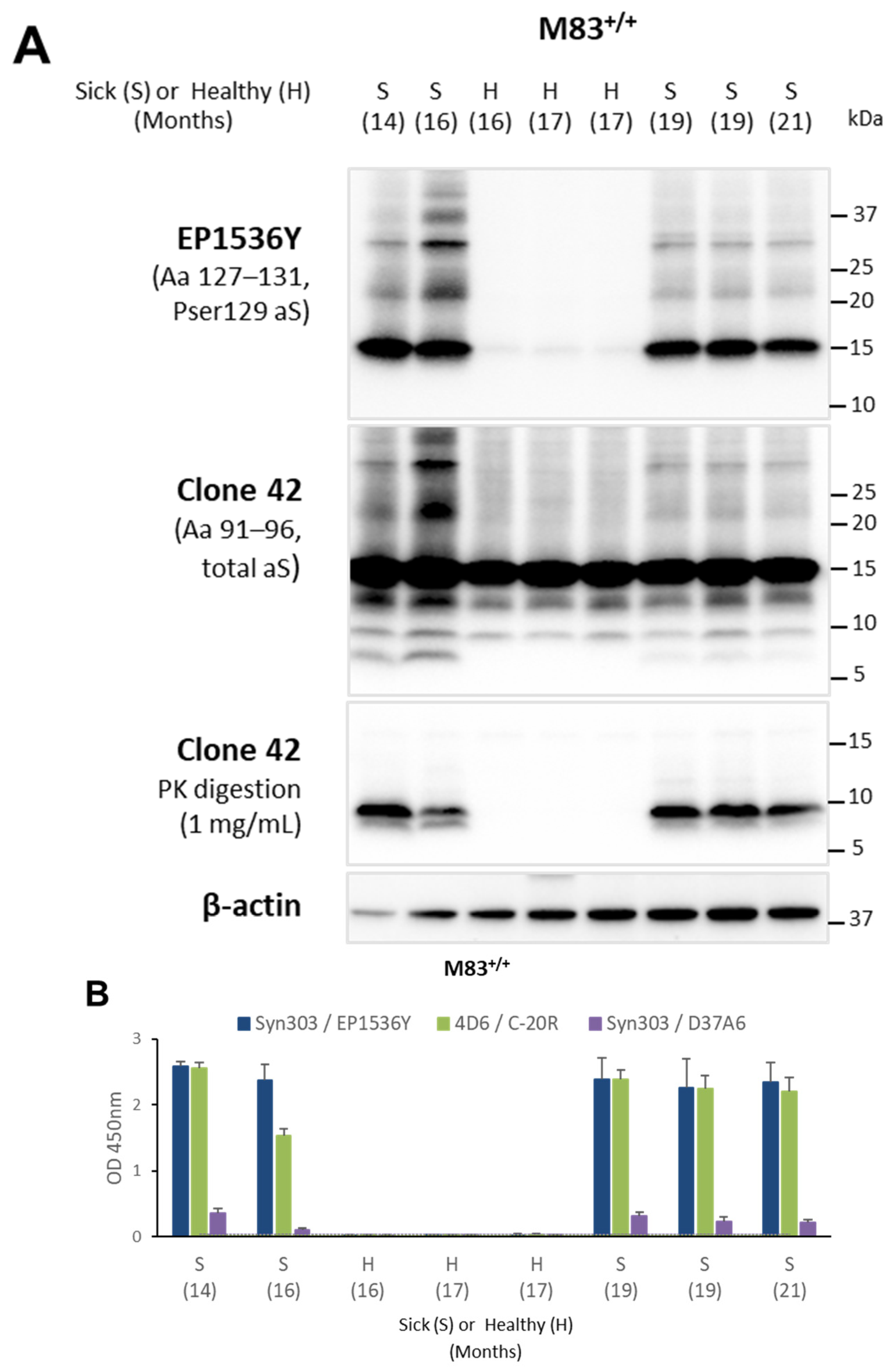 Biomolecules 13 01788 g002