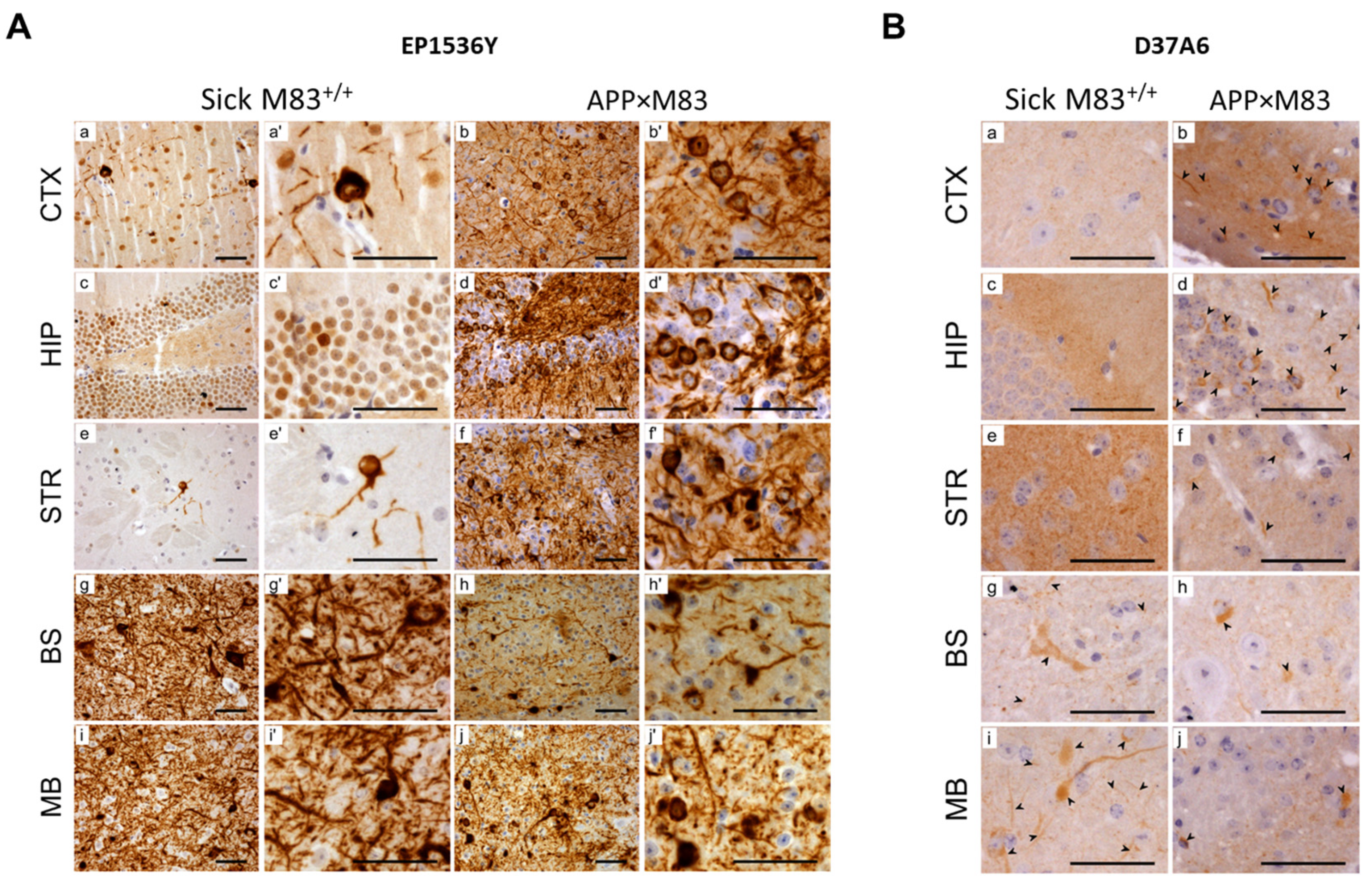 Biomolecules 13 01788 g004