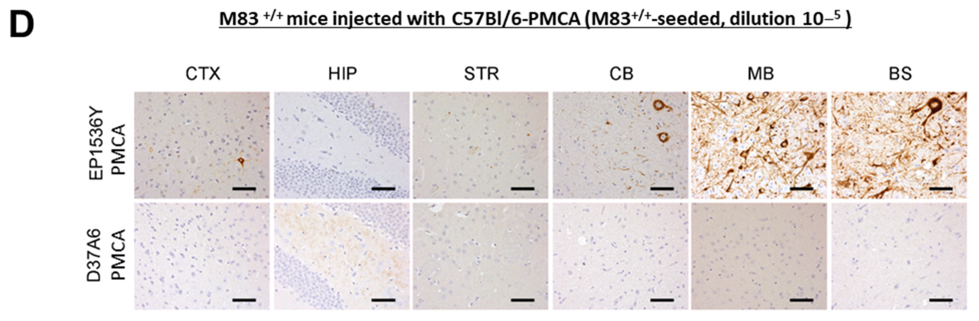 Biomolecules 13 01788 g006b