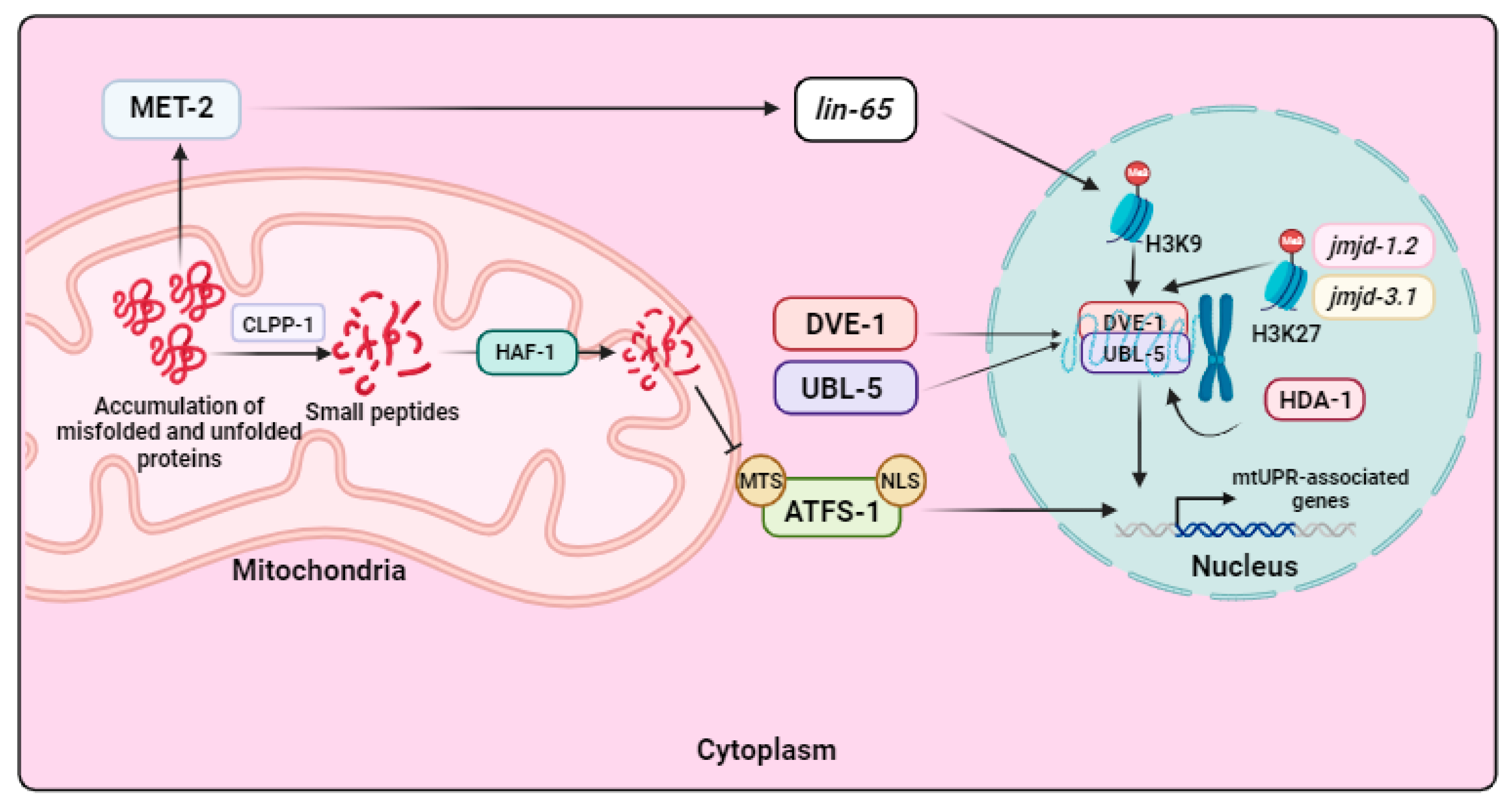 Biomolecules 13 01789 g004 Biomolecules 13 01789 g004