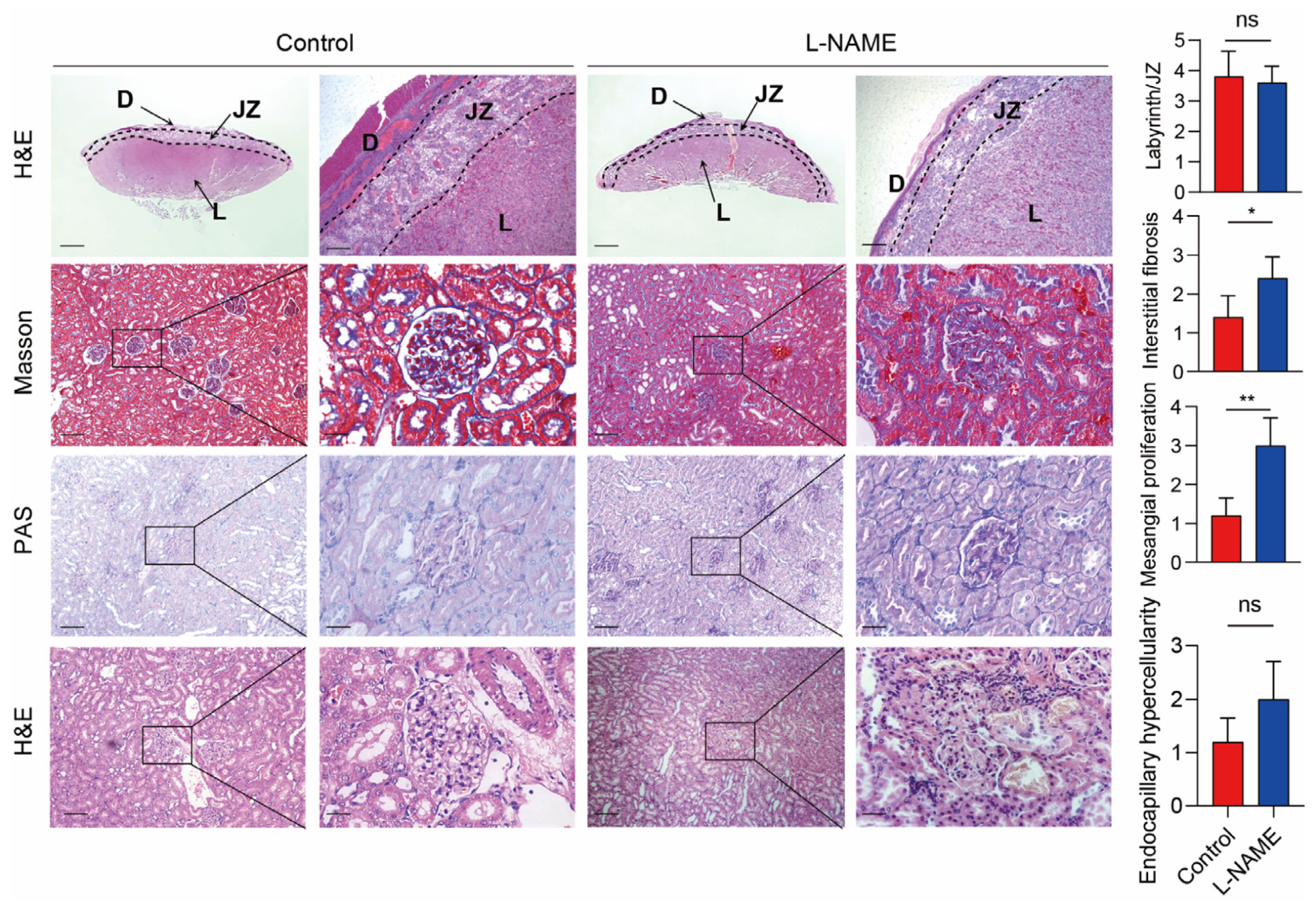 Biomolecules 13 01792 g002