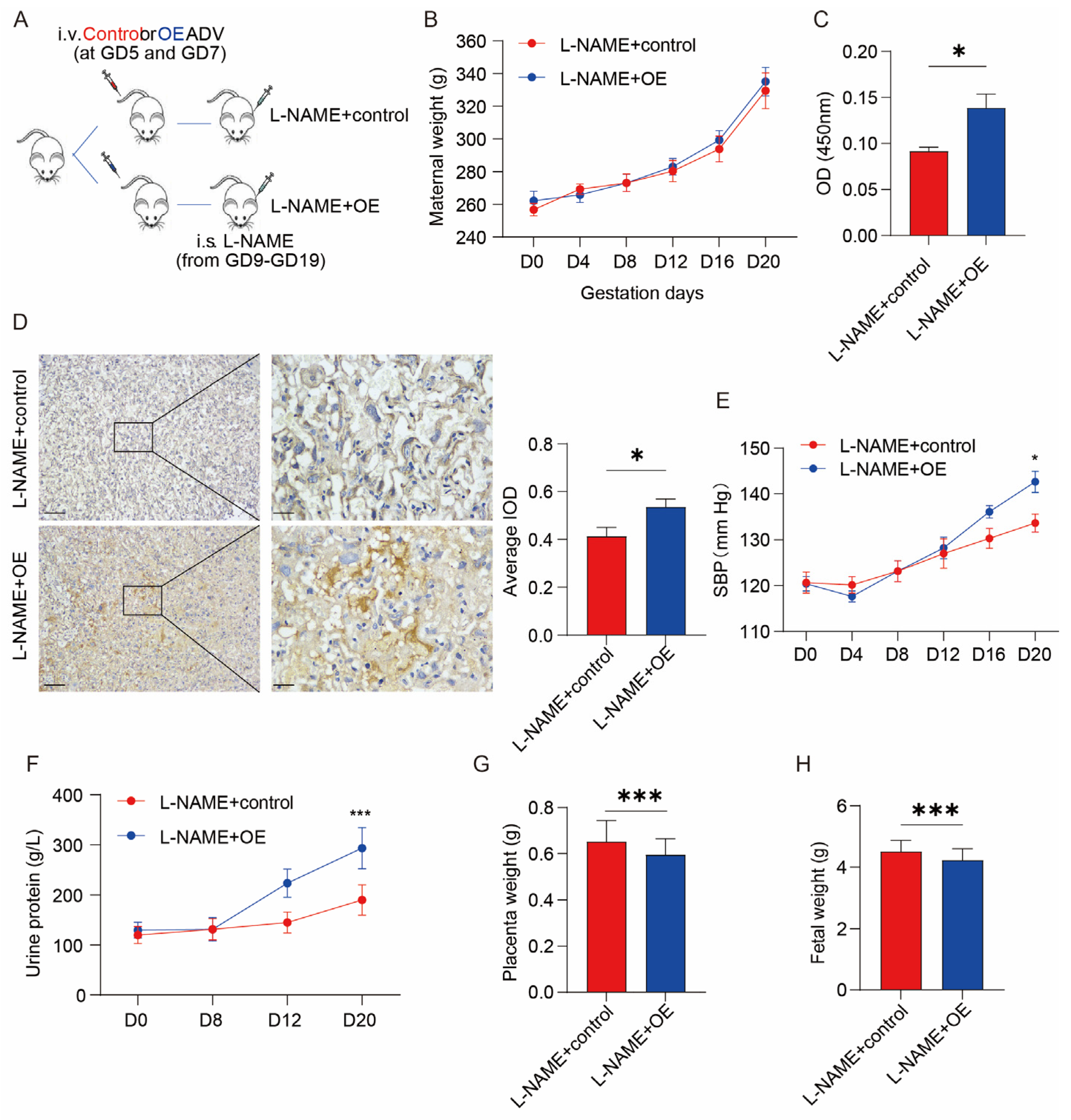 Biomolecules 13 01792 g003