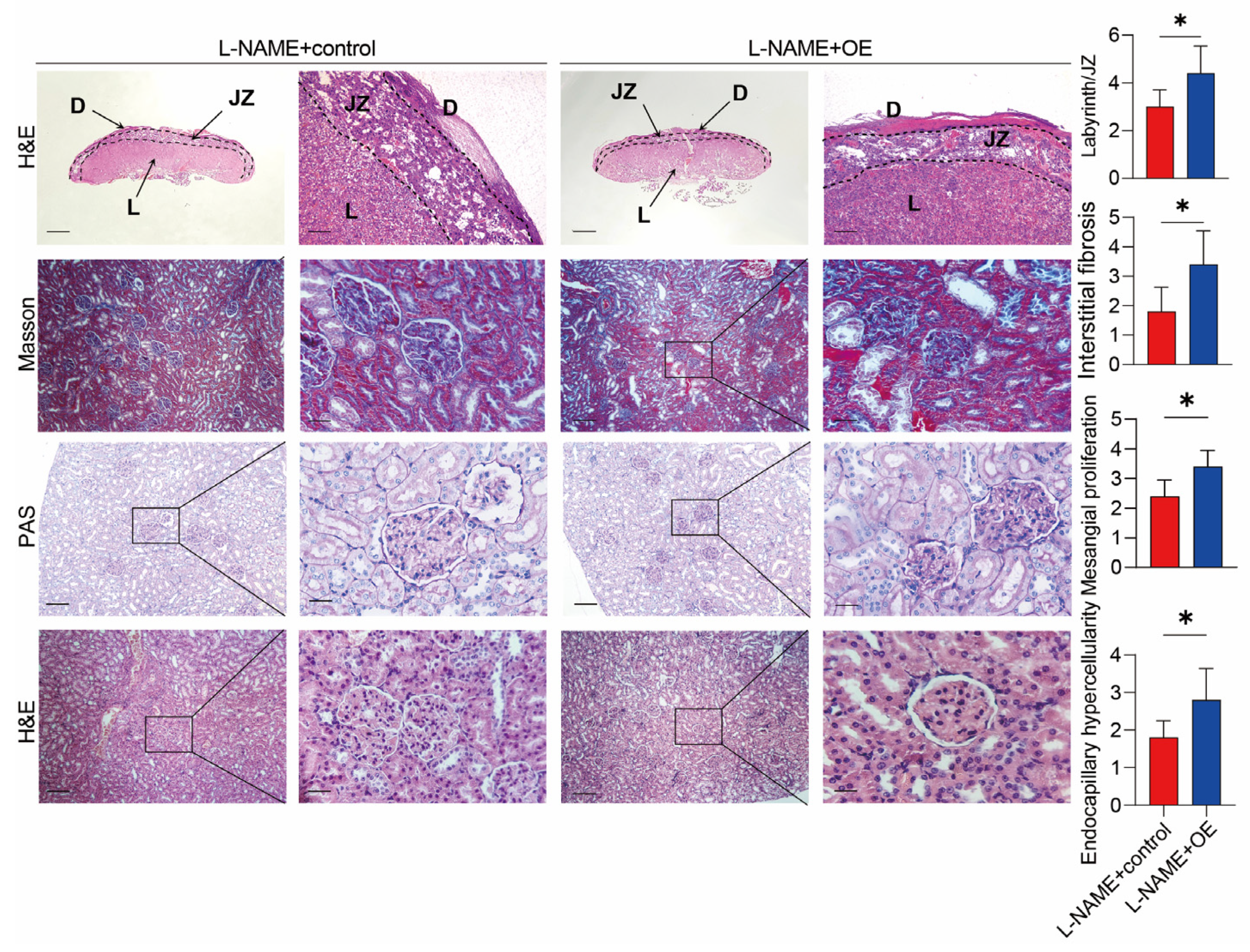 Biomolecules 13 01792 g004