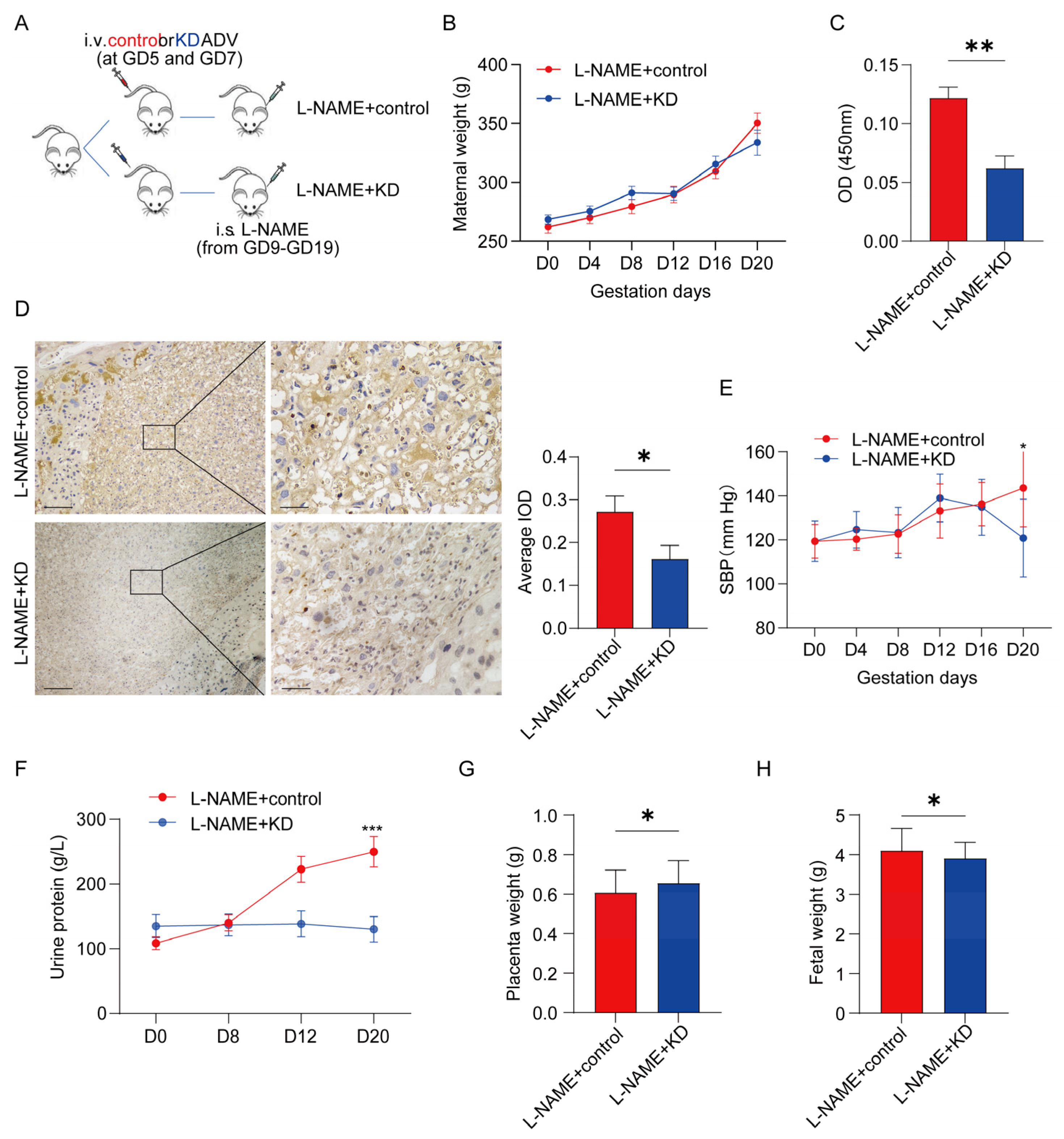 Biomolecules 13 01792 g006