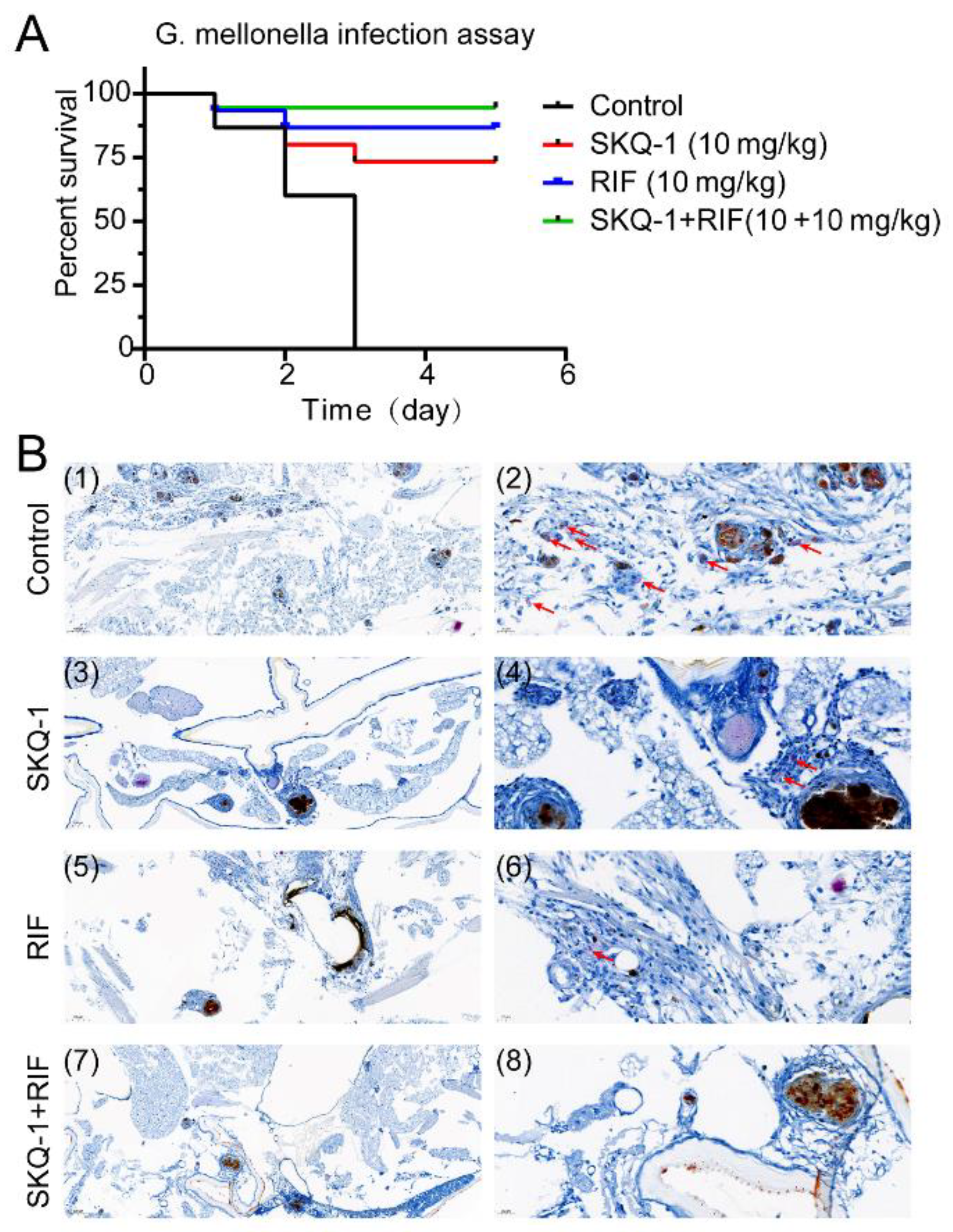 Biomolecules 13 01793 g003 Biomolecules 13 01793 g003