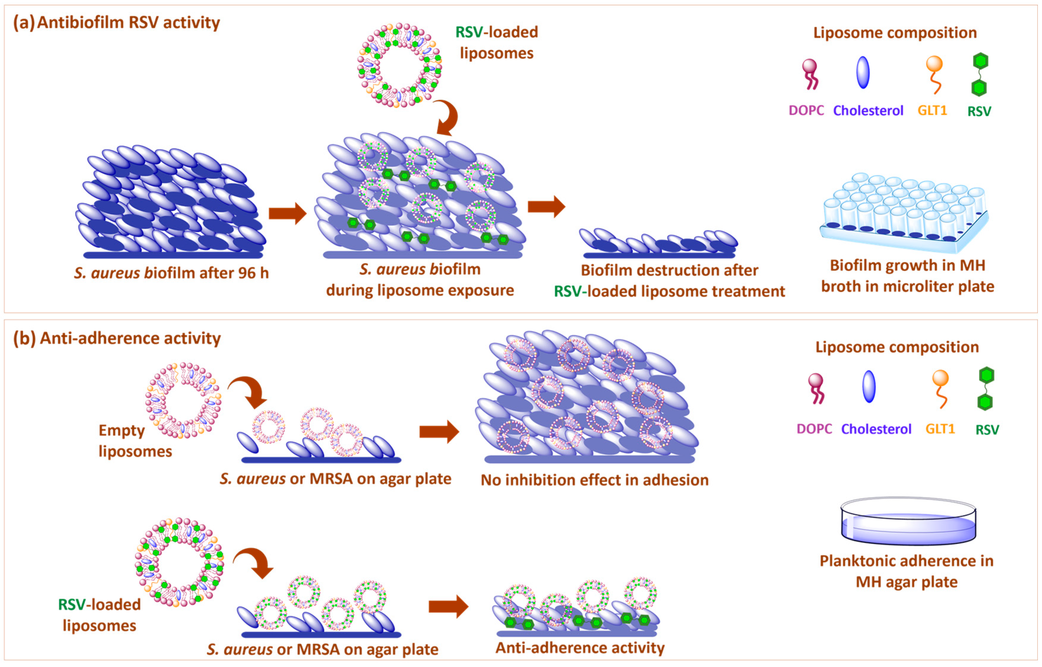 Biomolecules 13 01794 g005