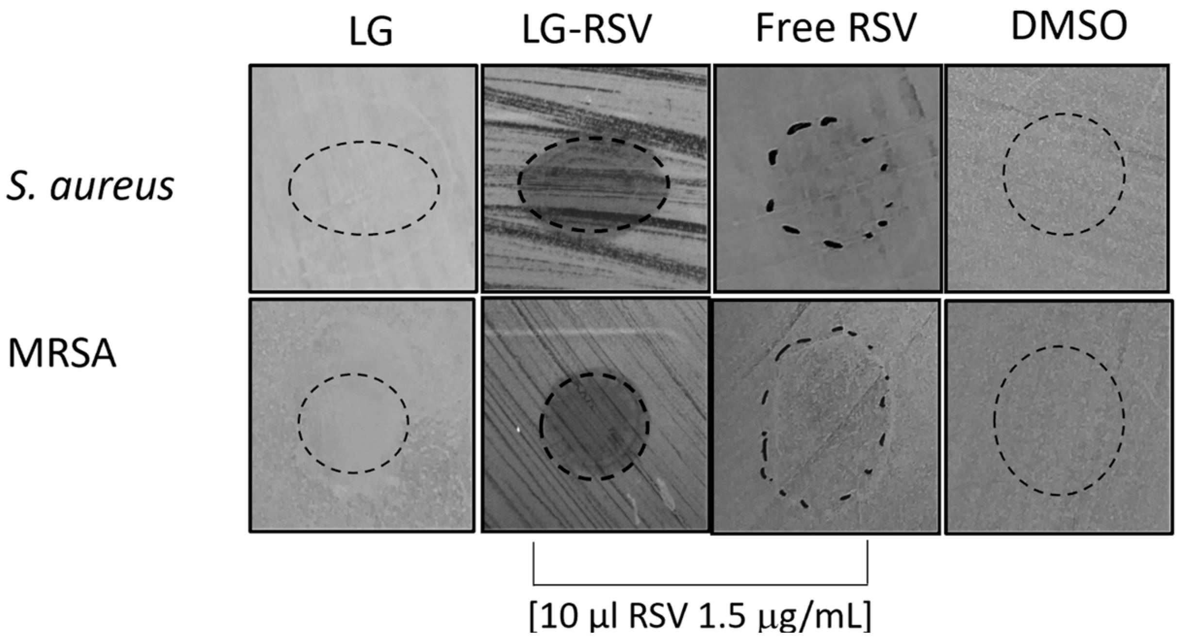 Biomolecules 13 01794 g007