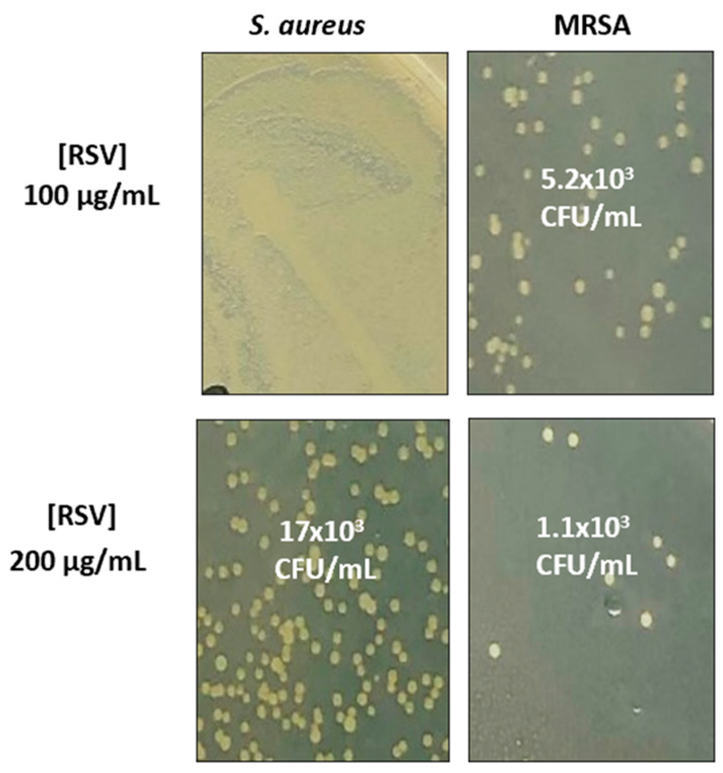 Biomolecules 13 01794 g008