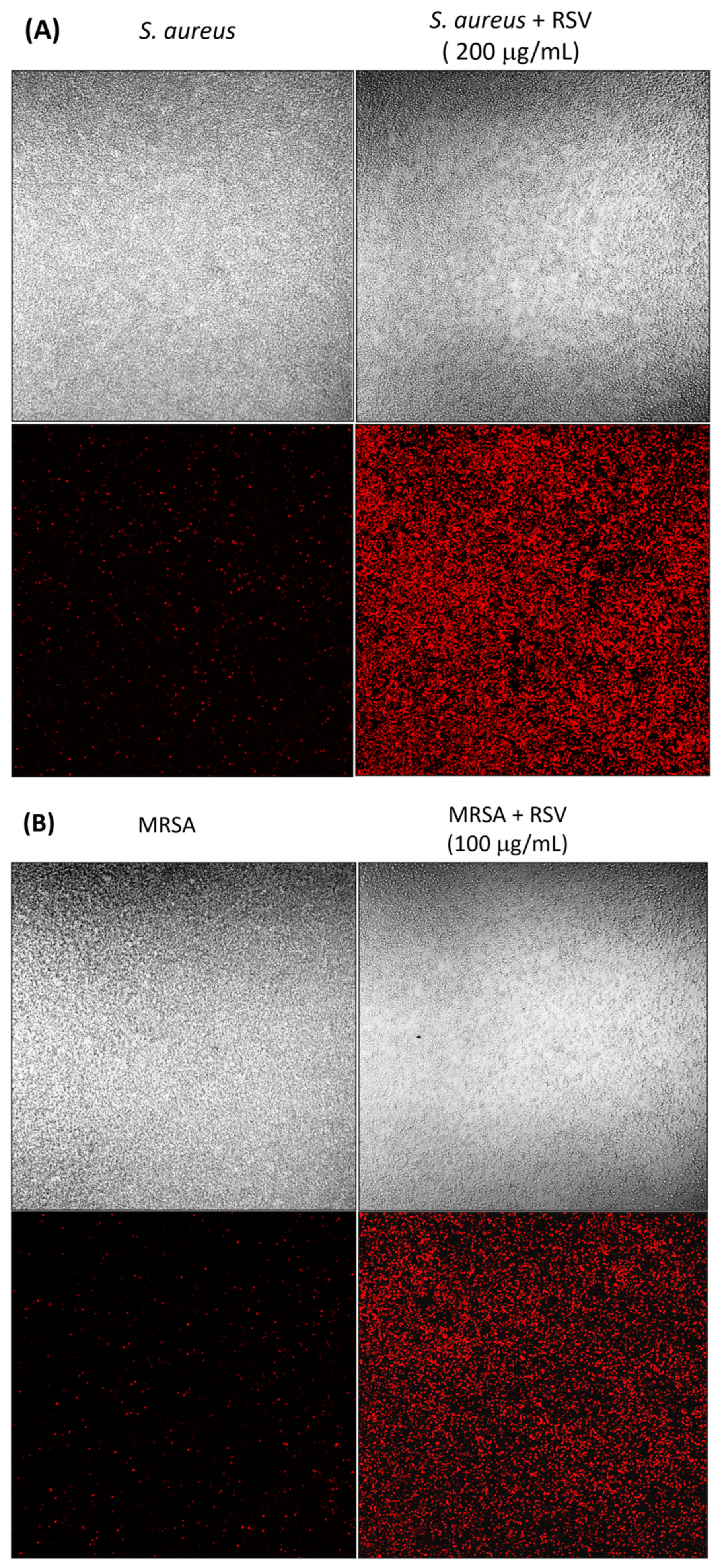 Biomolecules 13 01794 g009