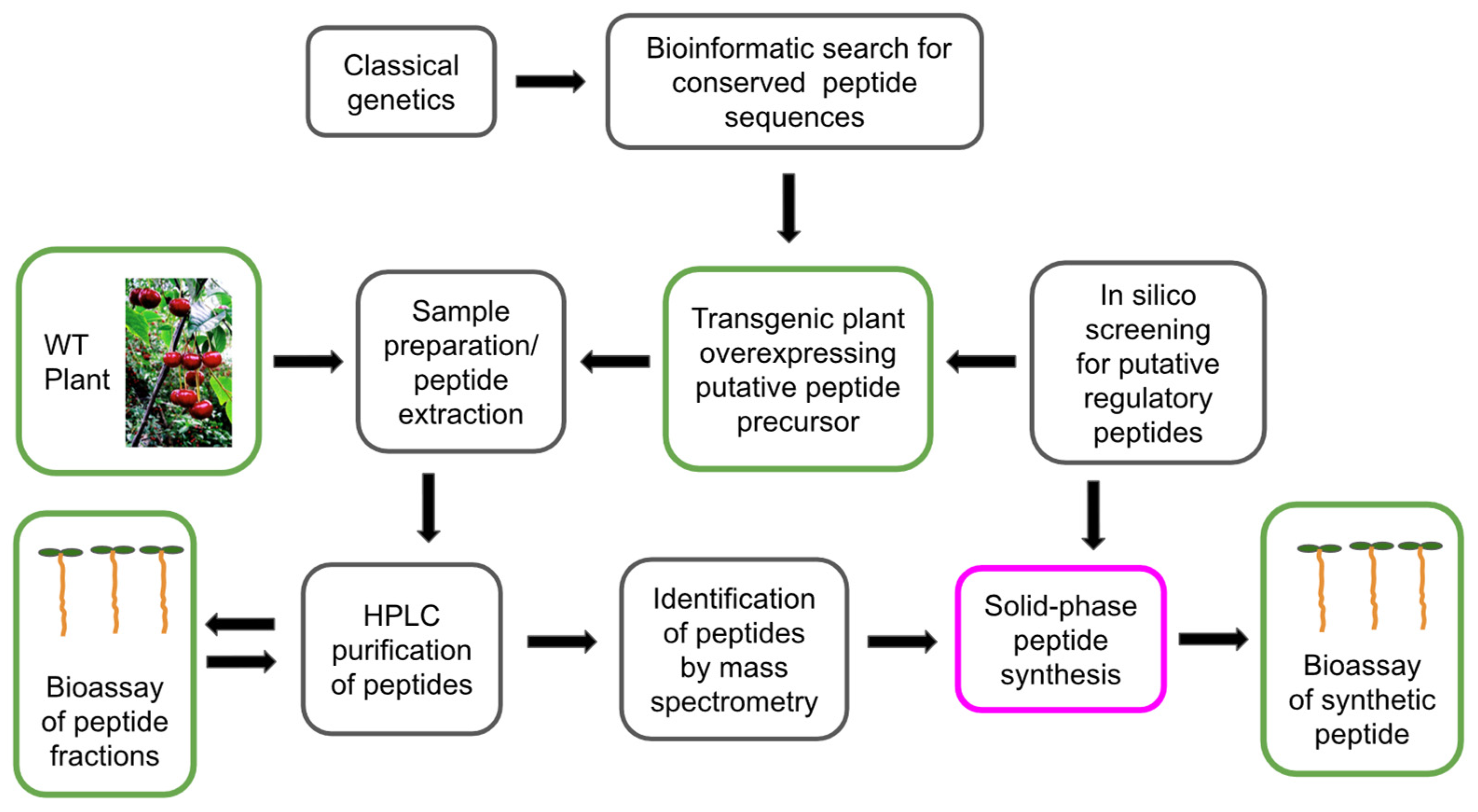 Biomolecules 13 01795 g001 Biomolecules 13 01795 g001