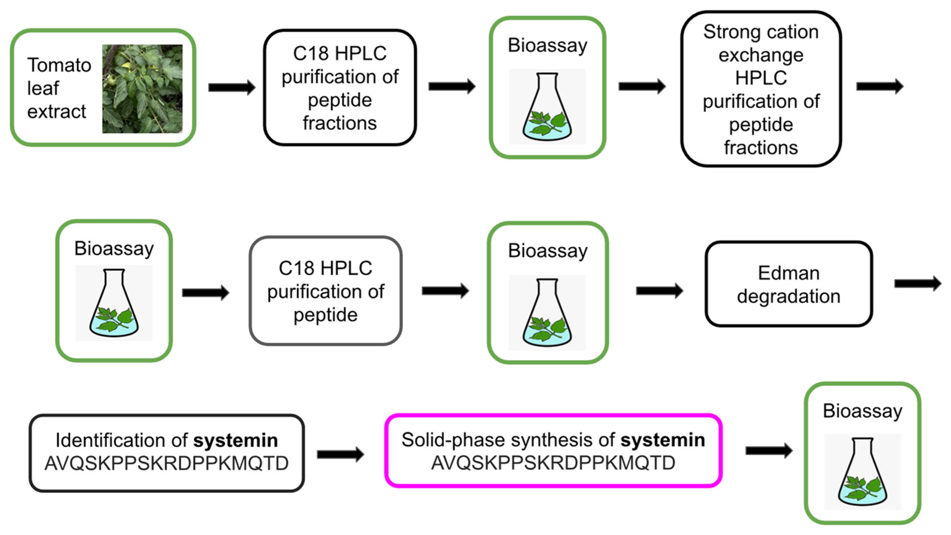 Biomolecules 13 01795 g002 Biomolecules 13 01795 g002