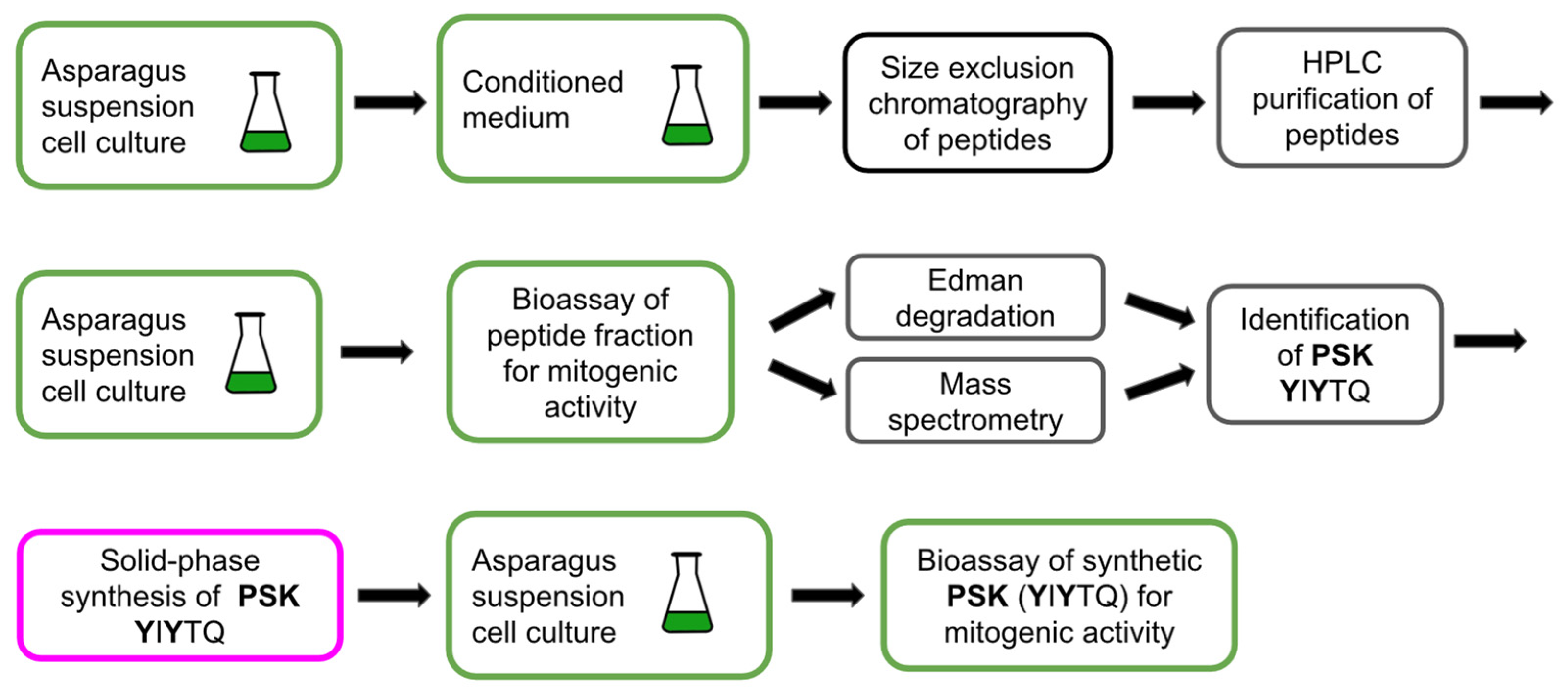 Biomolecules 13 01795 g003 Biomolecules 13 01795 g003