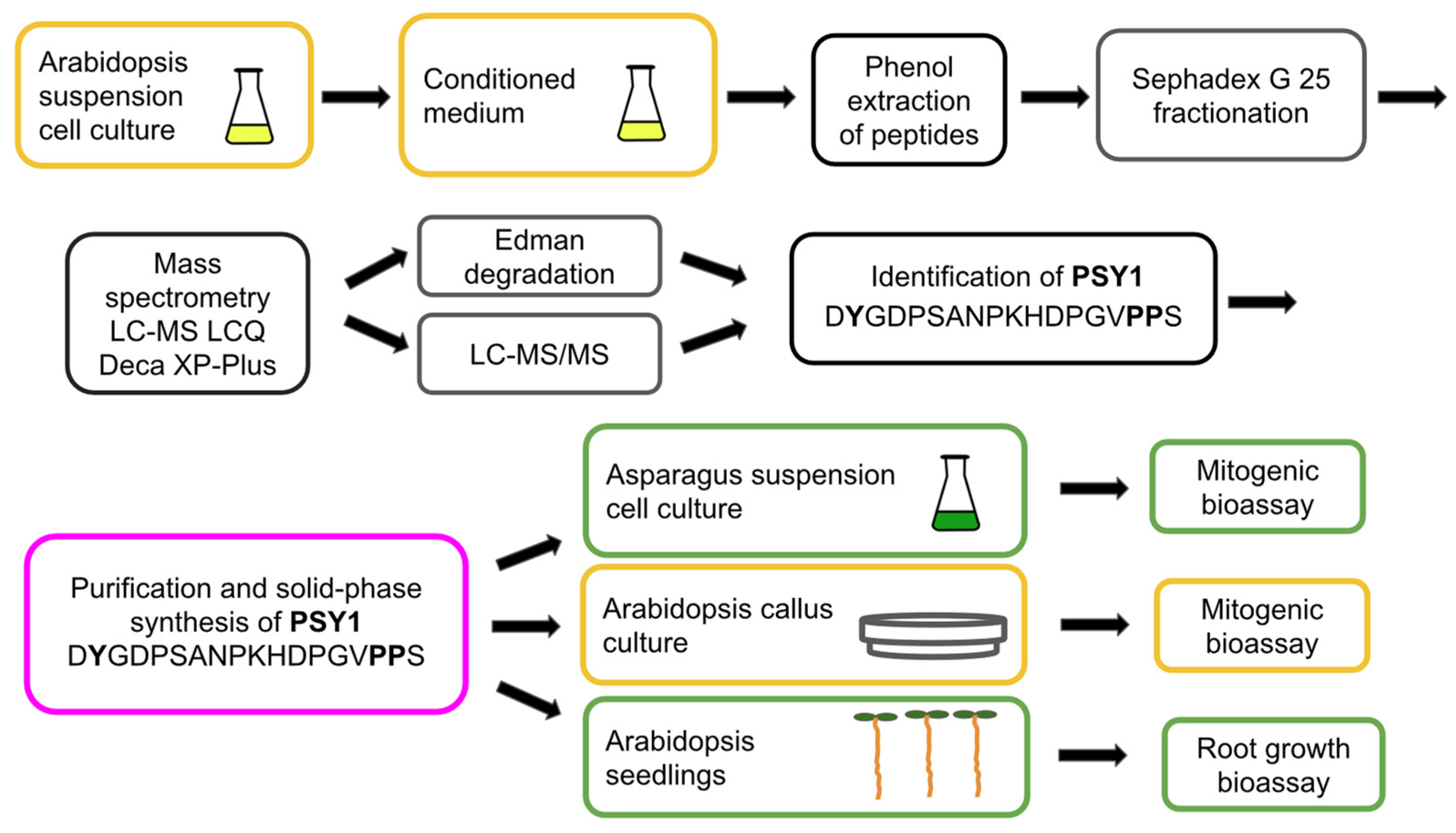 Biomolecules 13 01795 g004 Biomolecules 13 01795 g004
