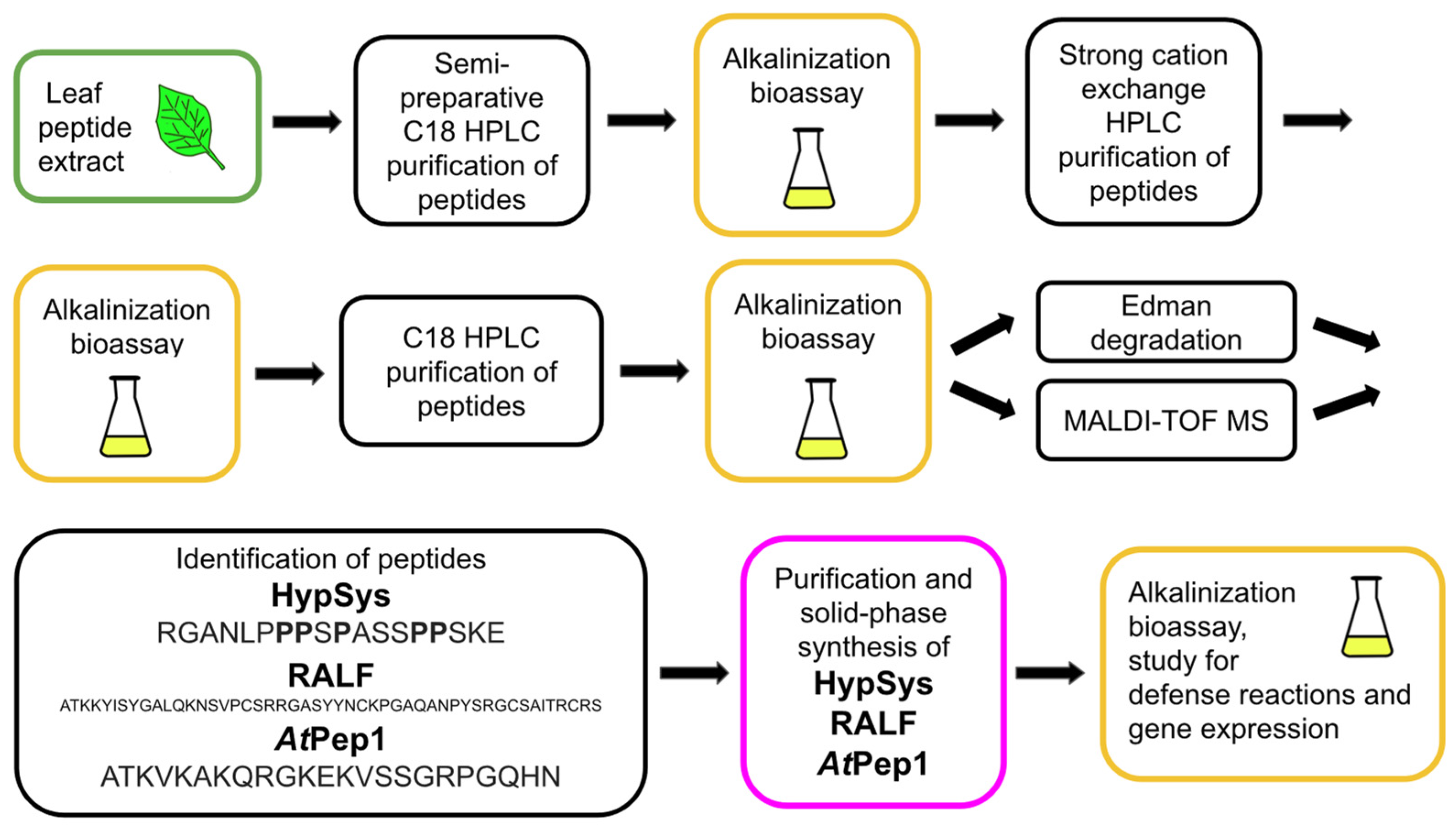 Biomolecules 13 01795 g005 Biomolecules 13 01795 g005