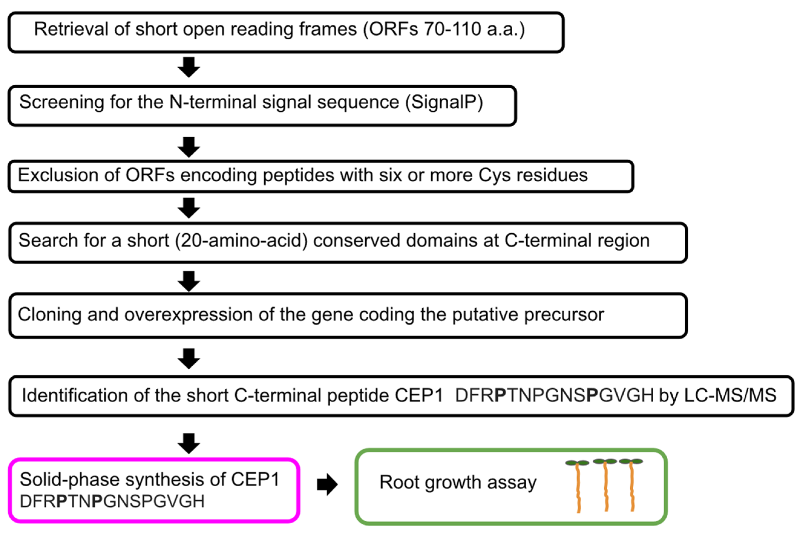 Biomolecules 13 01795 g006 Biomolecules 13 01795 g006