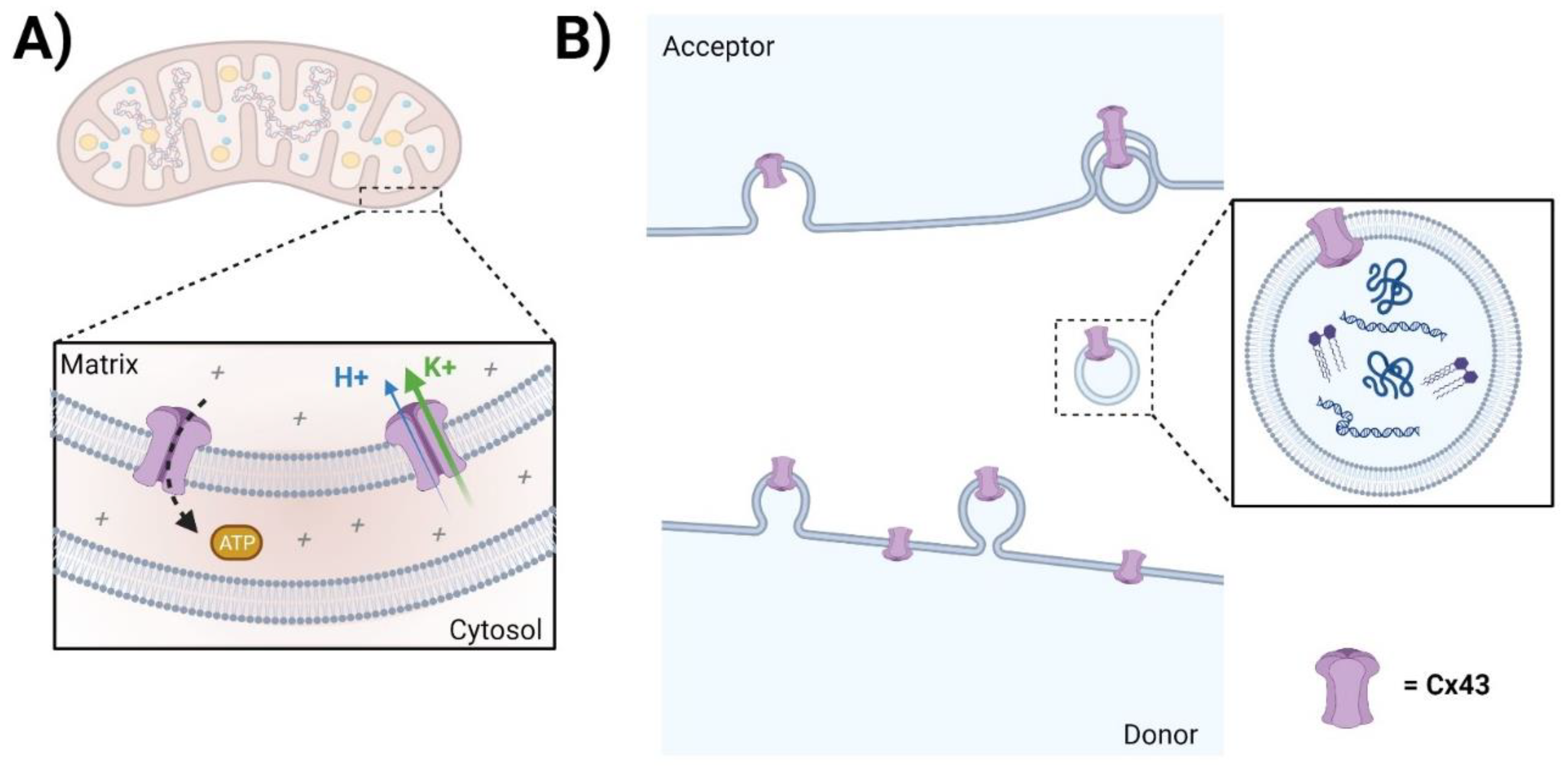 Biomolecules 13 01796 g003