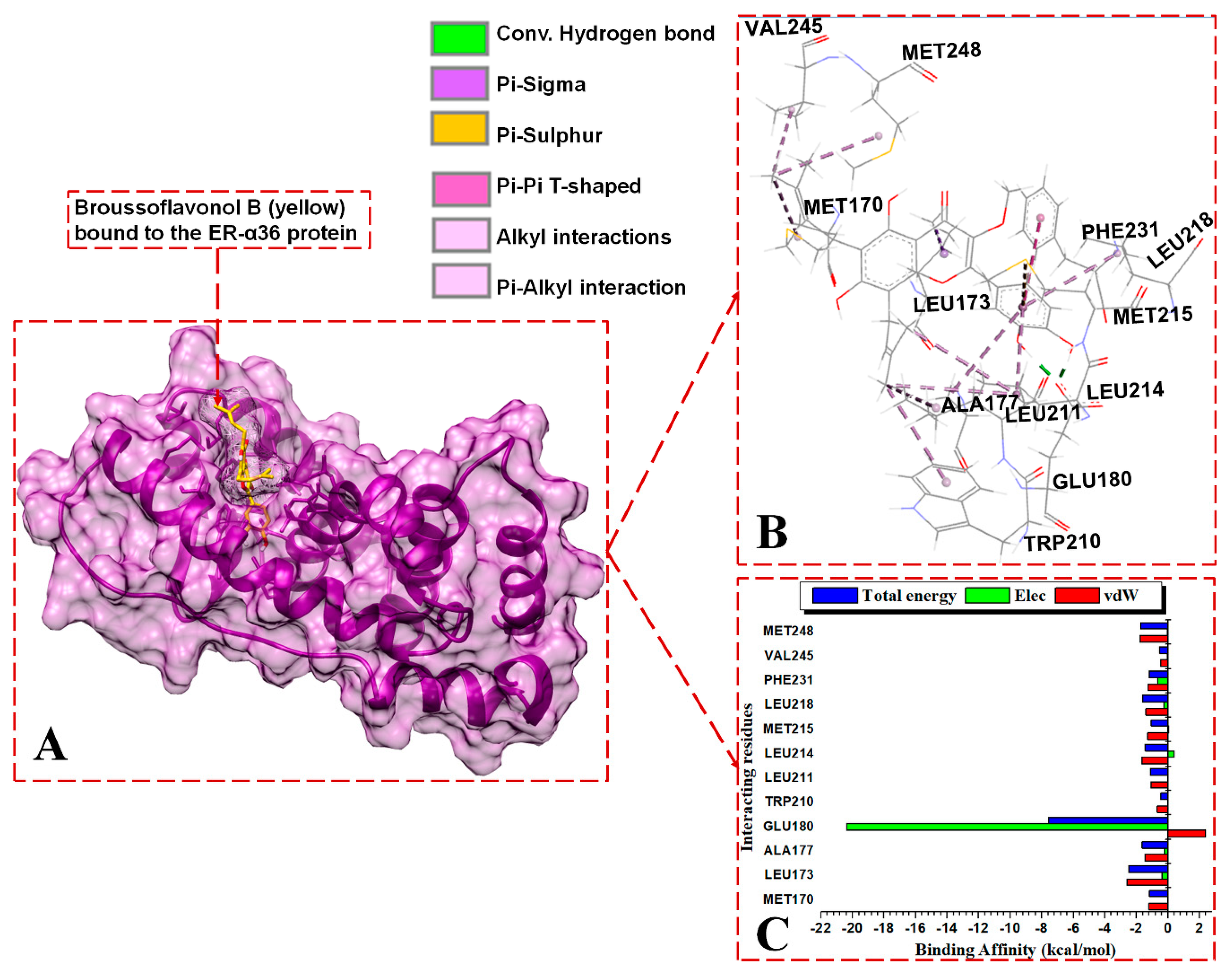 Biomolecules 13 01798 g007