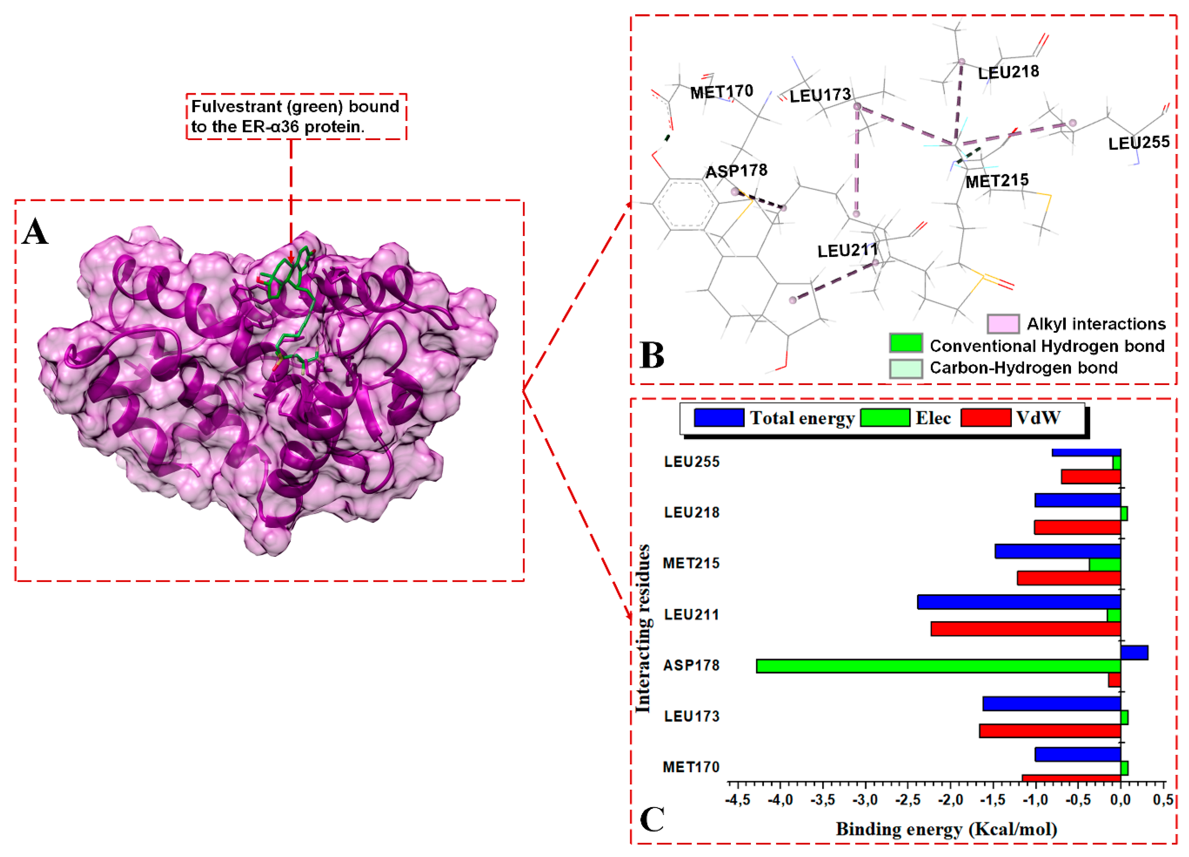 Biomolecules 13 01798 g008