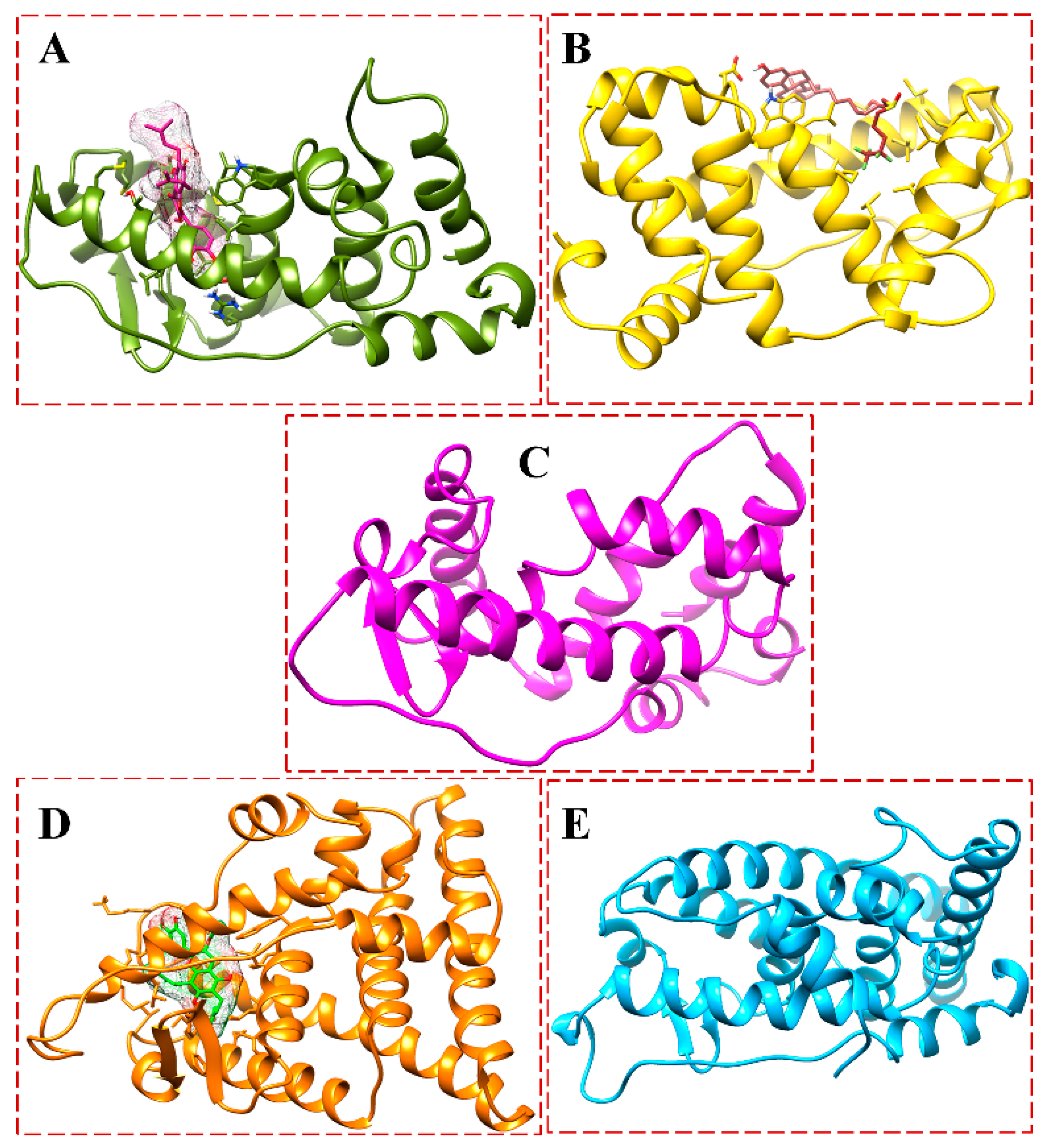Biomolecules 13 01798 g015
