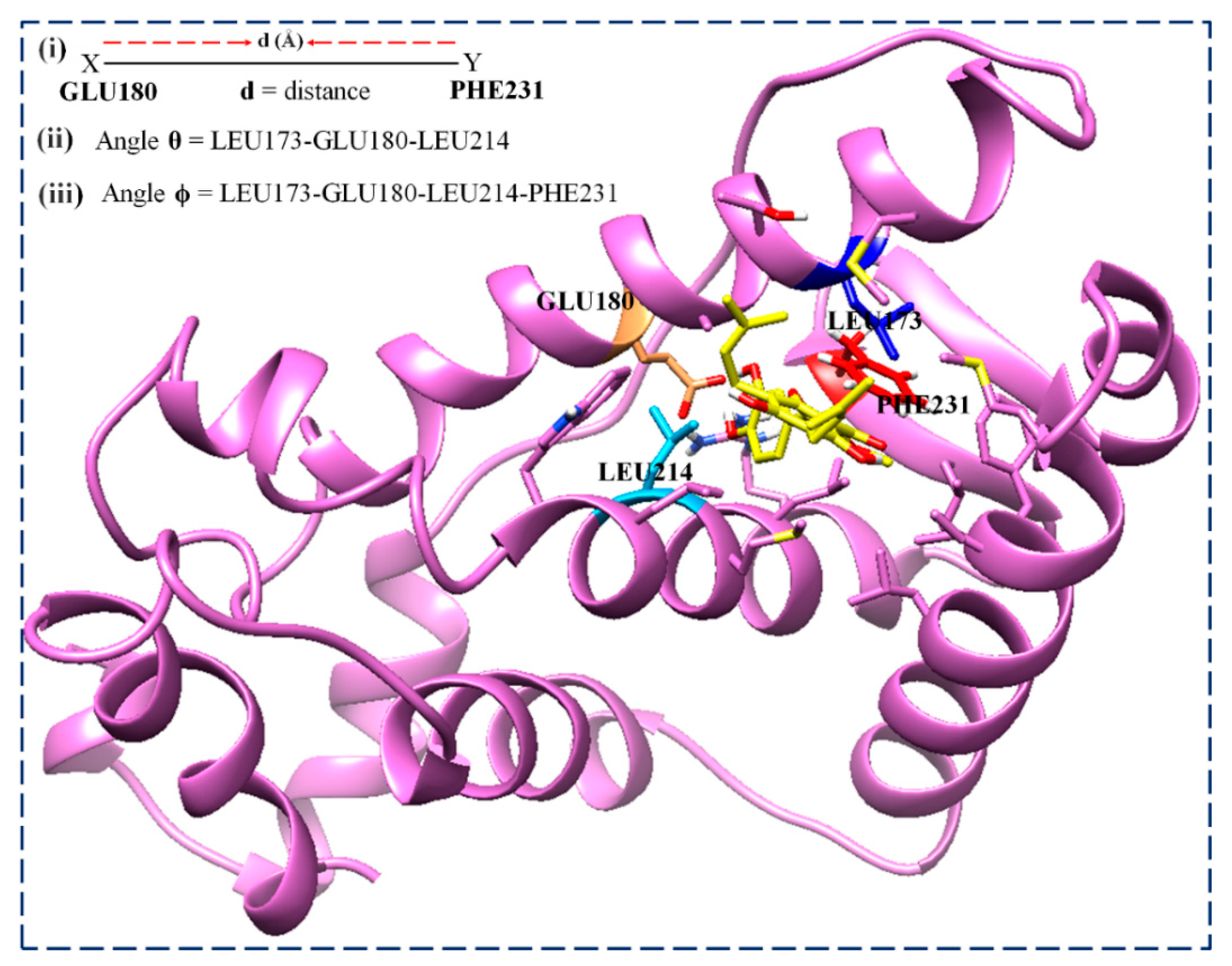 Biomolecules 13 01798 g016