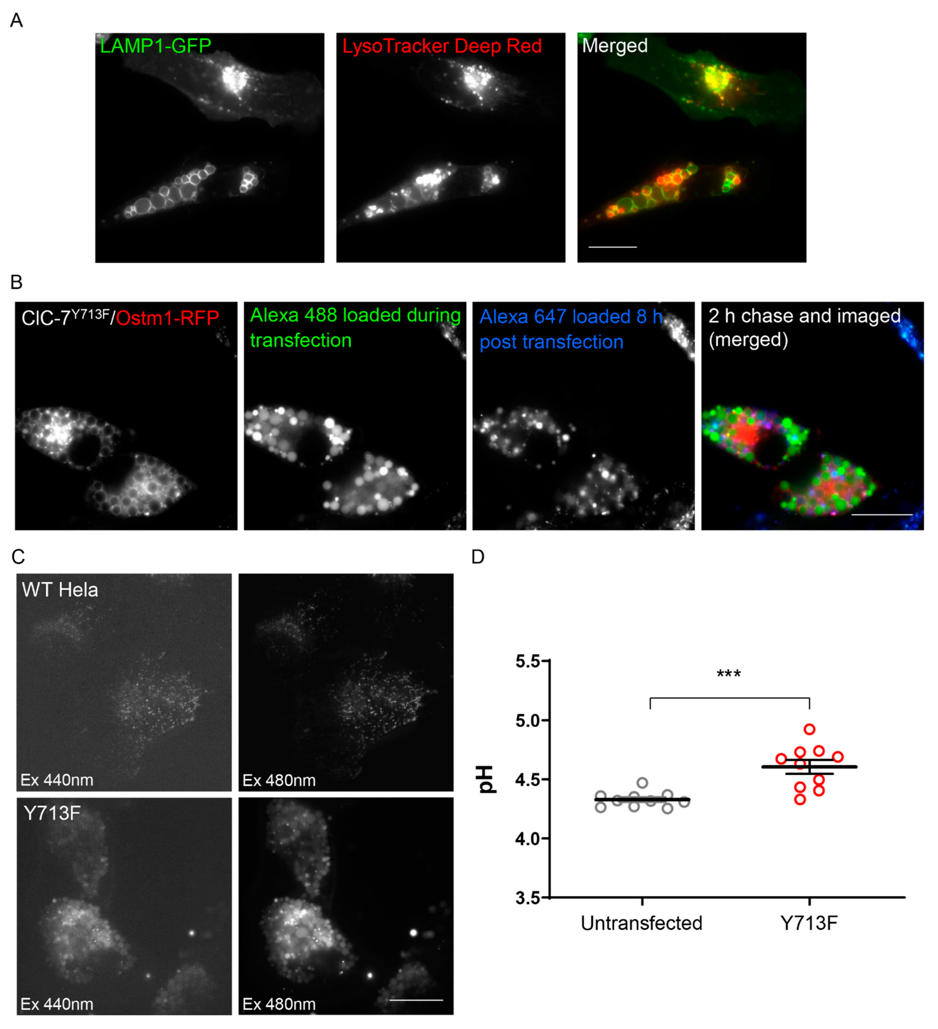 Biomolecules 13 01799 g004