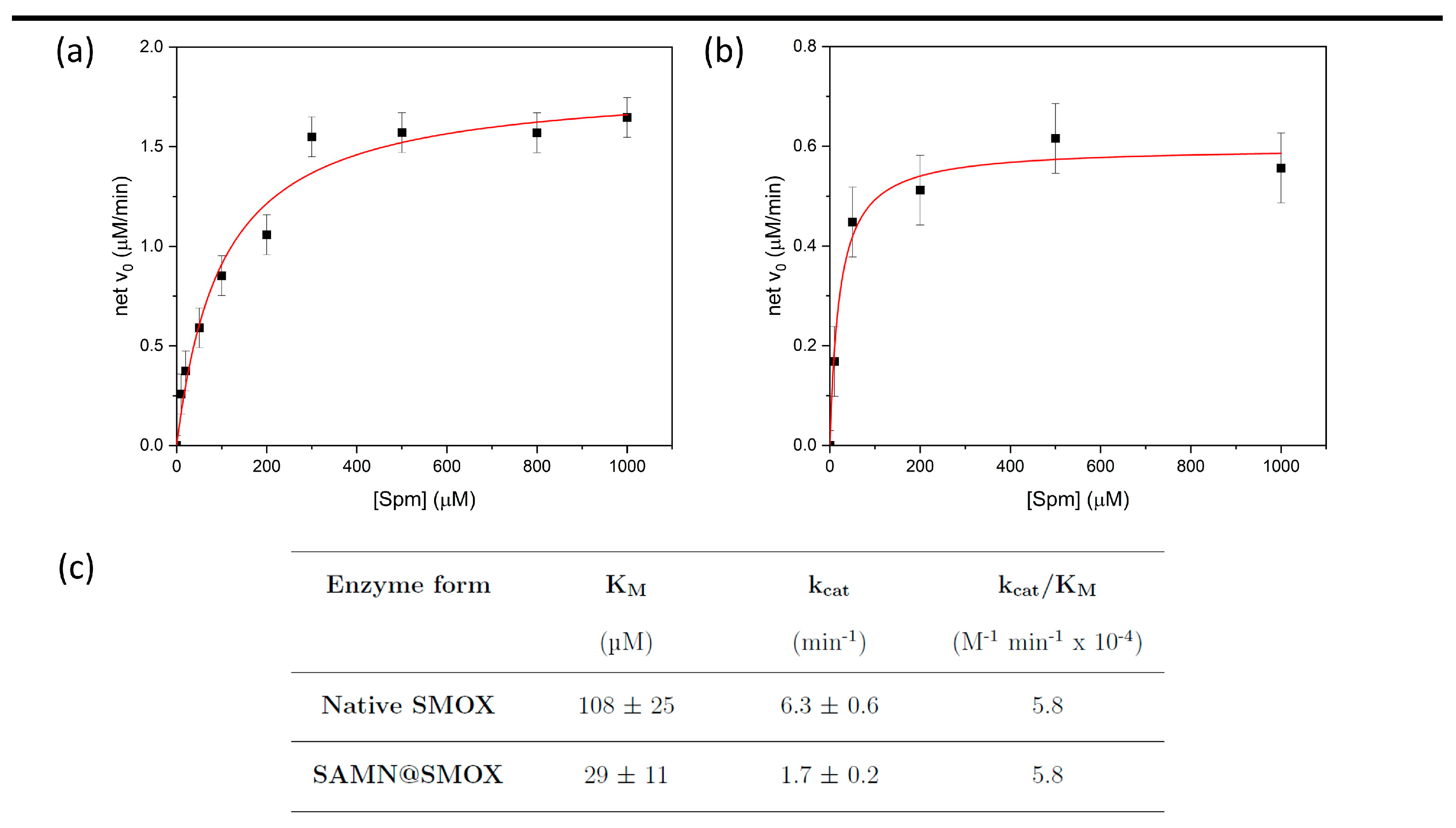 Biomolecules 13 01800 g004 Biomolecules 13 01800 g004
