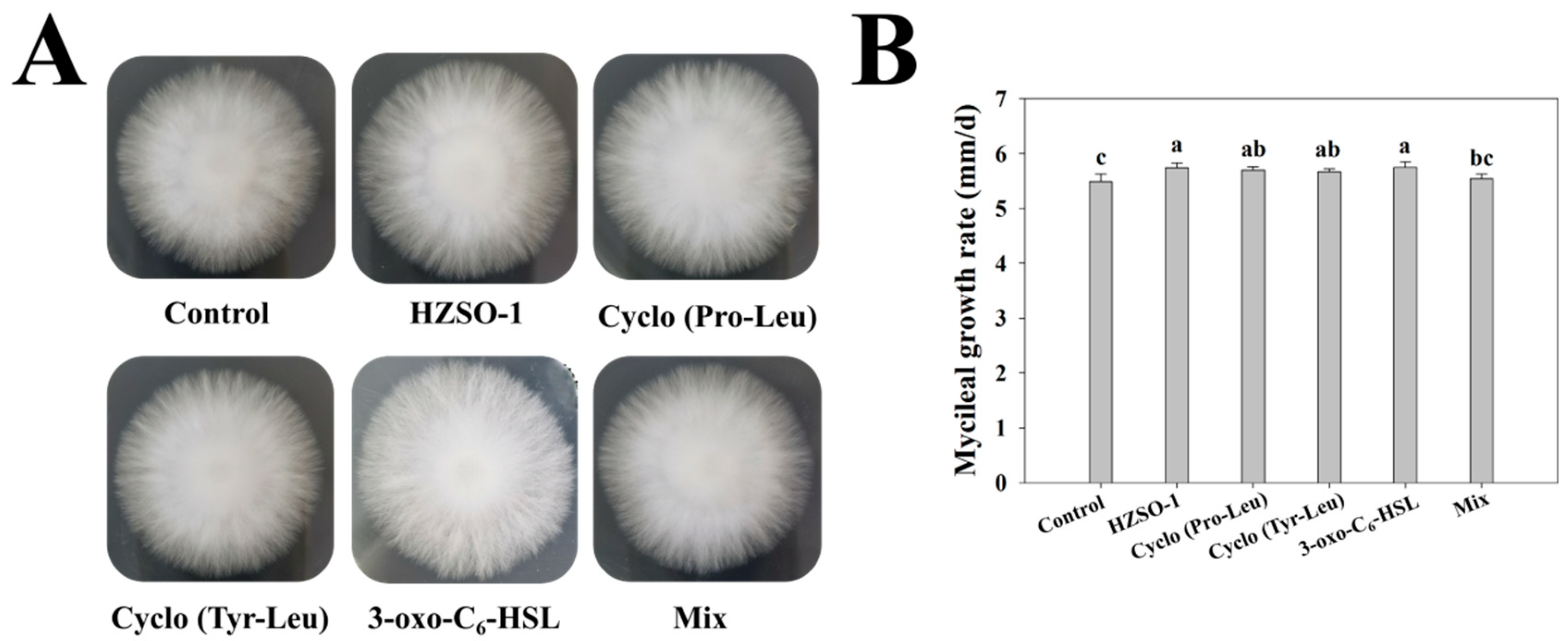 Biomolecules 13 01804 g001