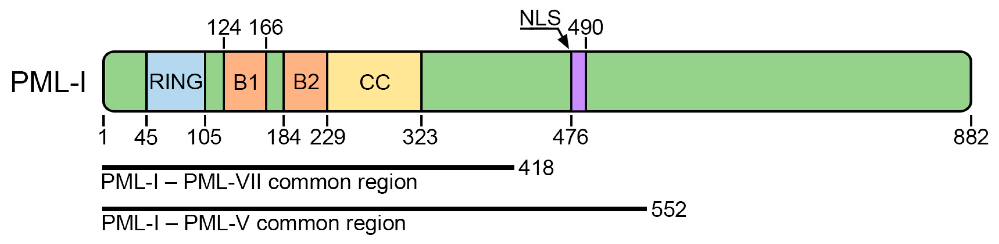 Biomolecules 13 01805 g001