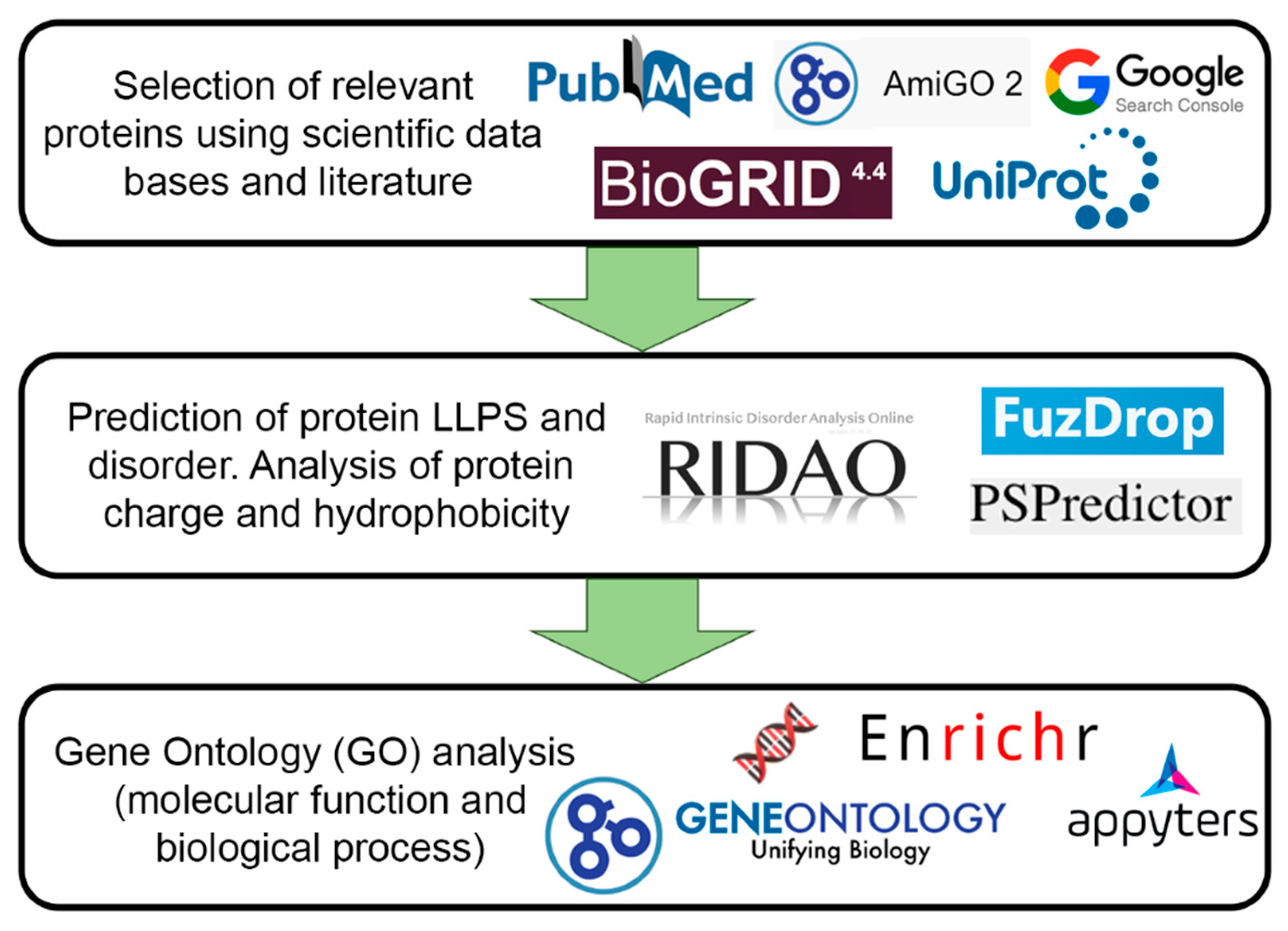Biomolecules 13 01805 g002