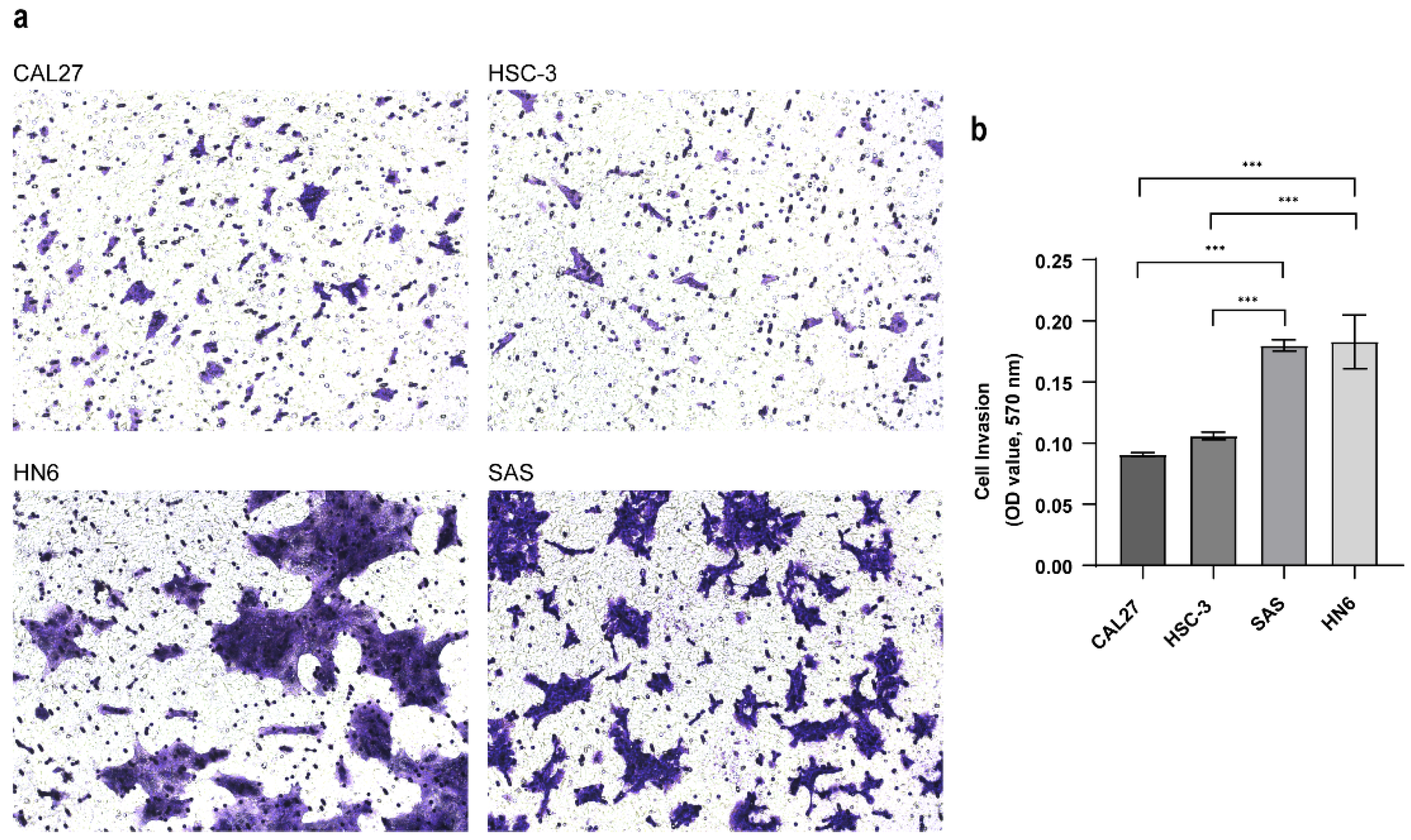 Biomolecules 13 01806 g001 Biomolecules 13 01806 g001