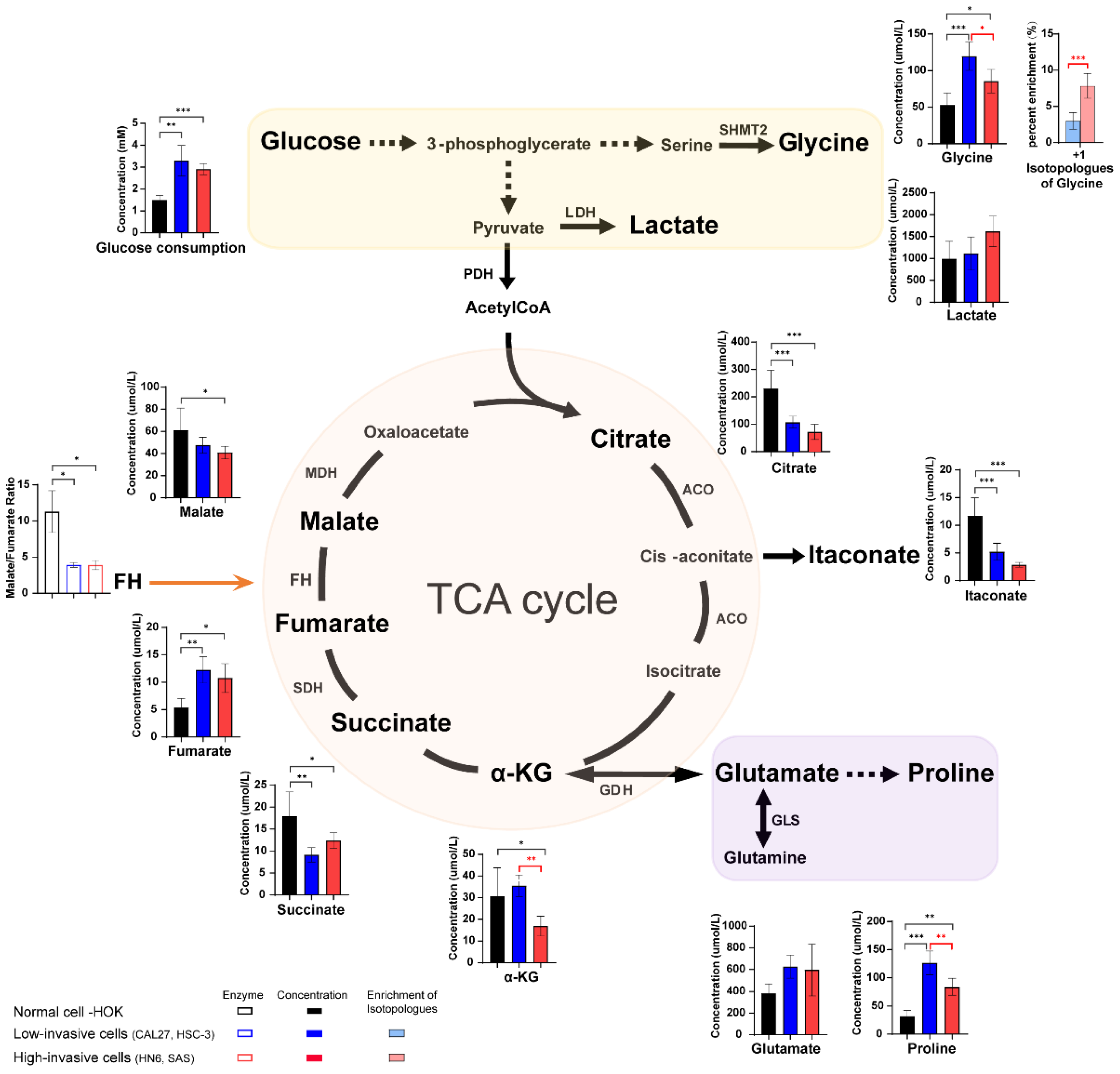 Biomolecules 13 01806 g003 Biomolecules 13 01806 g003