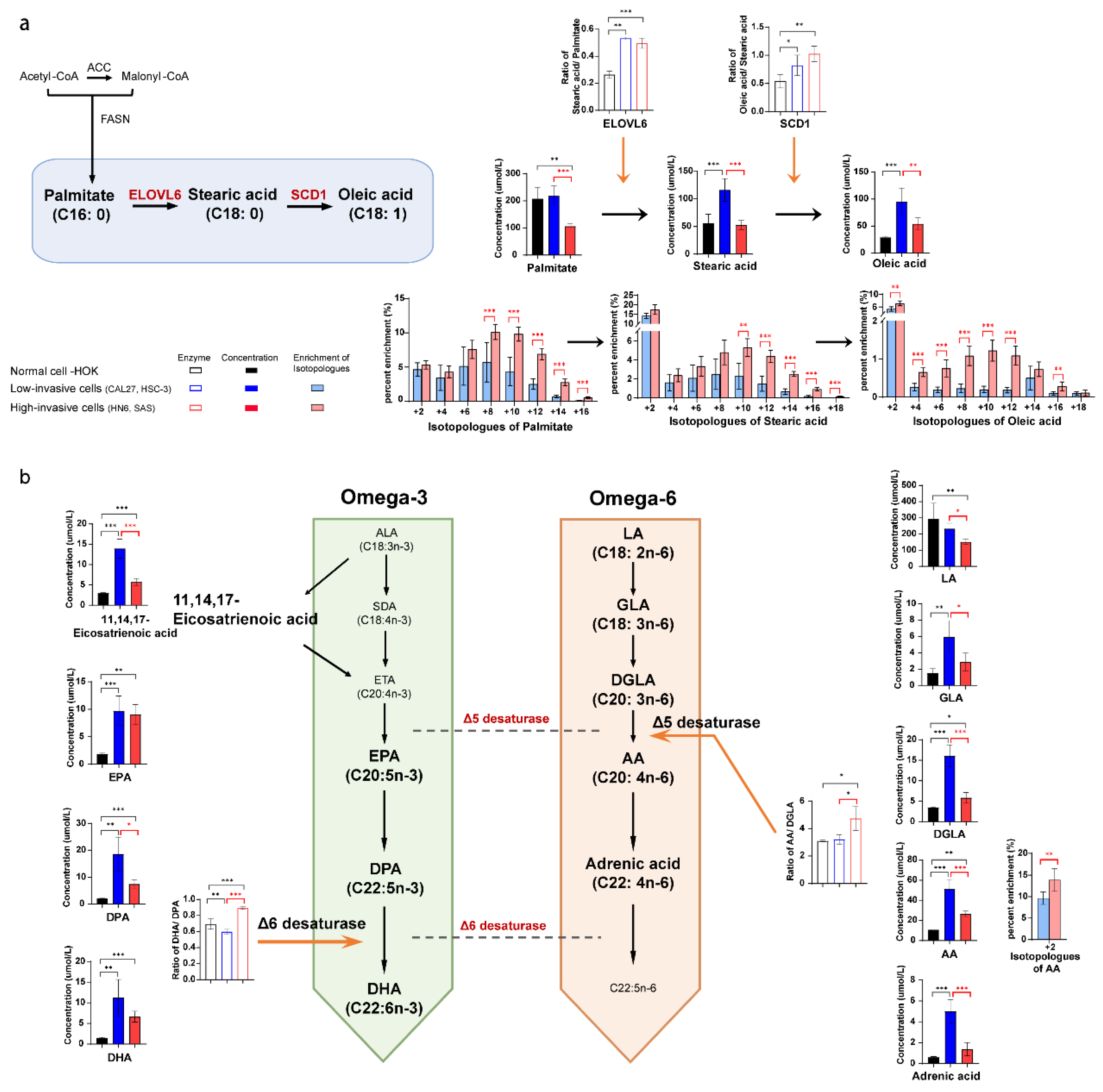 Biomolecules 13 01806 g004 Biomolecules 13 01806 g004