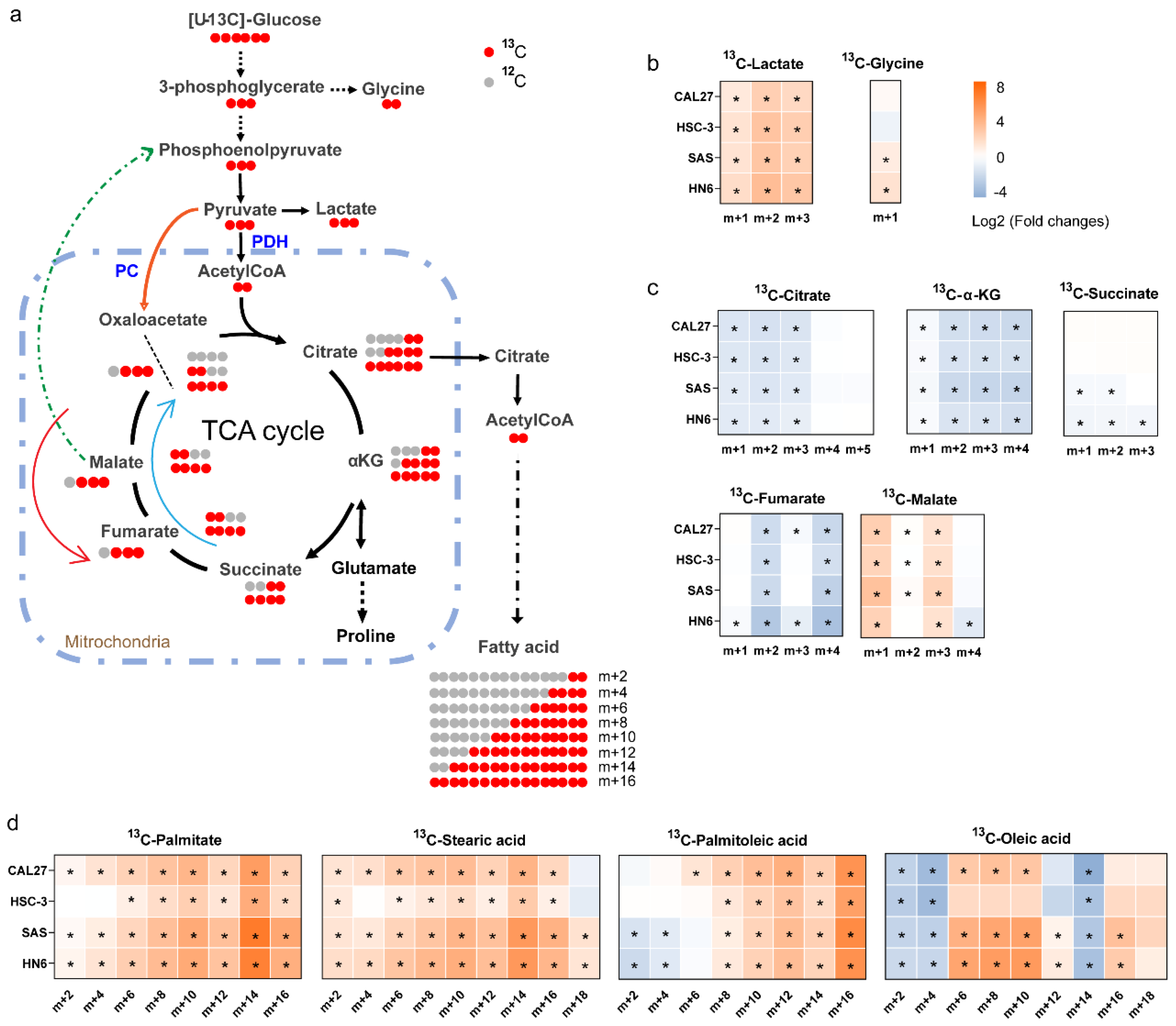 Biomolecules 13 01806 g005 Biomolecules 13 01806 g005