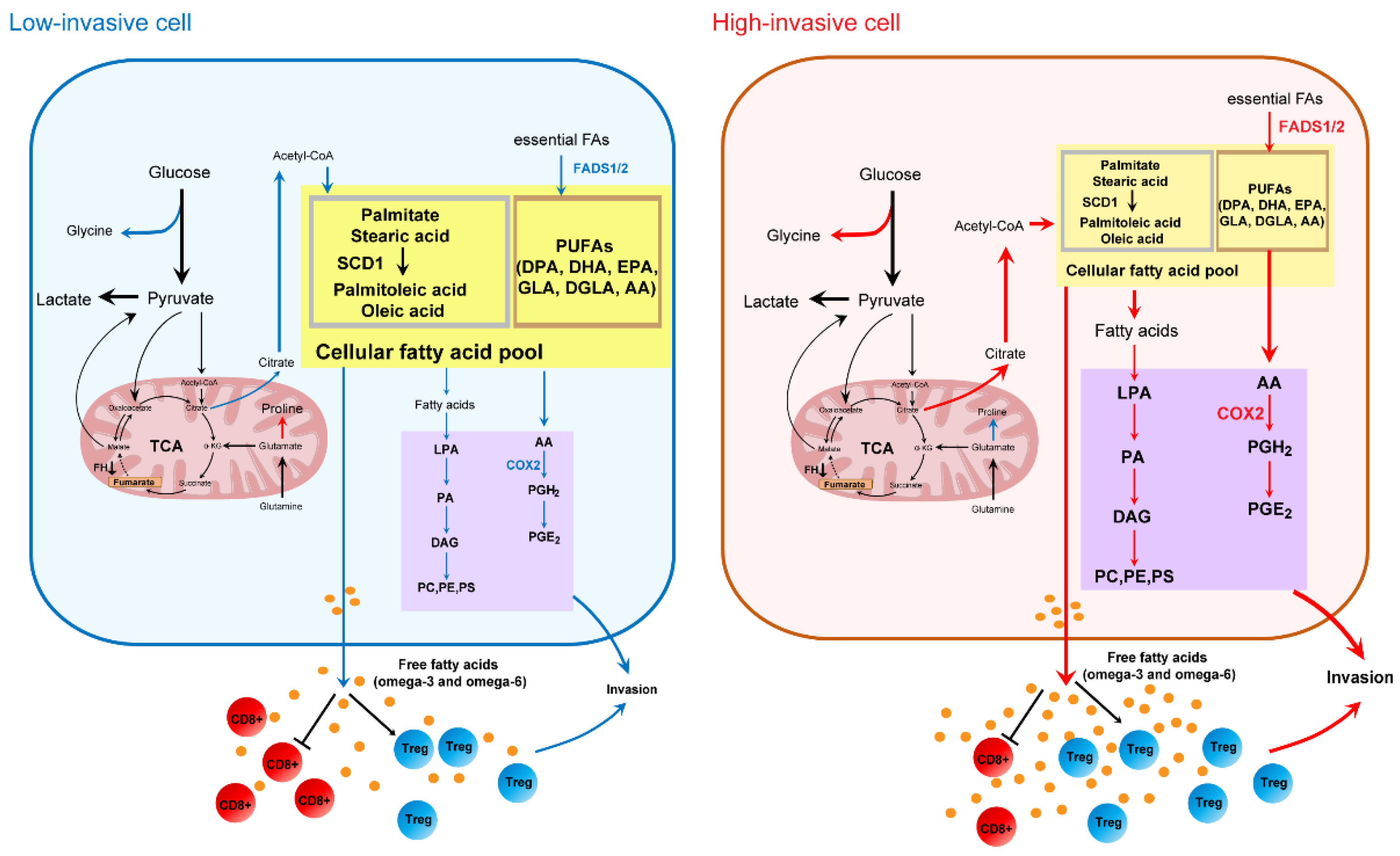 Biomolecules 13 01806 g007 Biomolecules 13 01806 g007