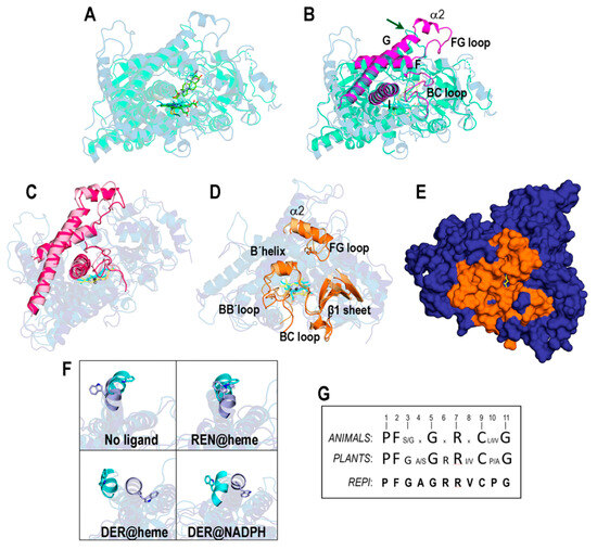 Dr.shake X -ドクターシェイクX- Structural Characterization and Molecular Dynamics Study of