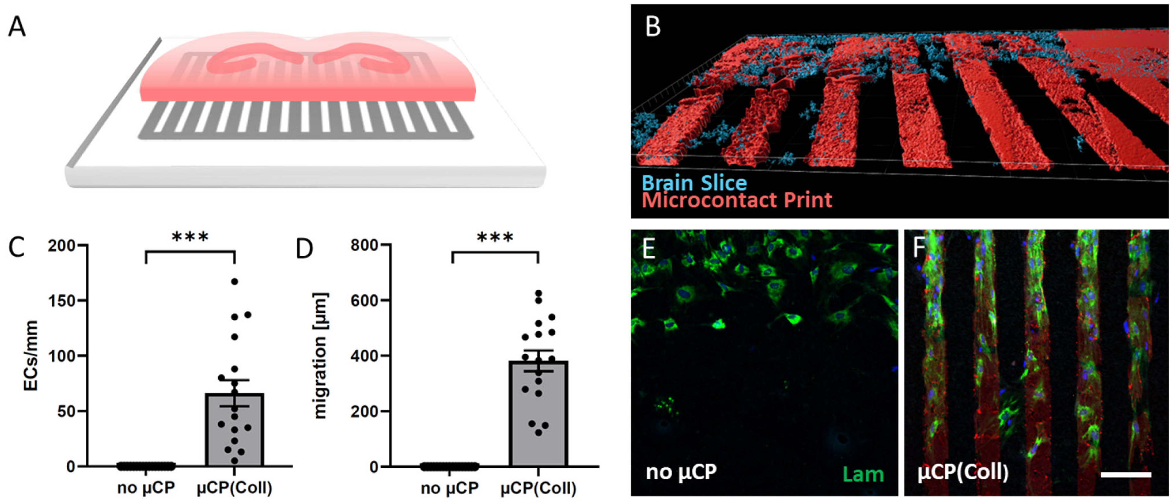 Biomolecules 14 00003 g001