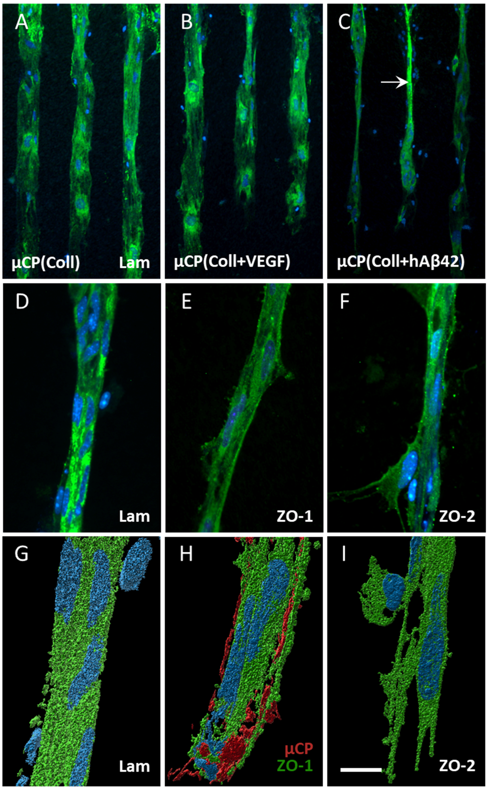 Biomolecules 14 00003 g003