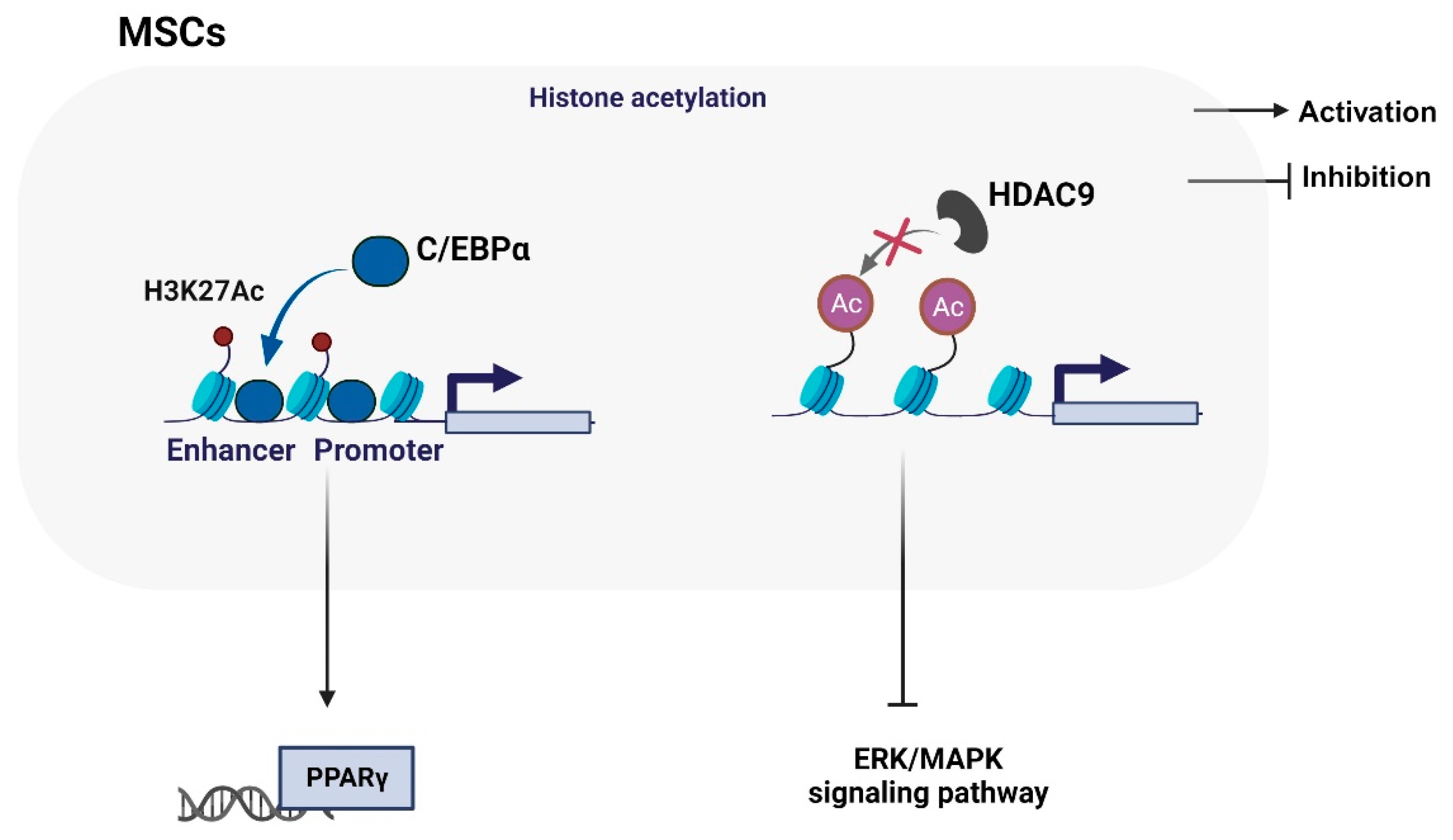 Biomolecules 14 00004 g002