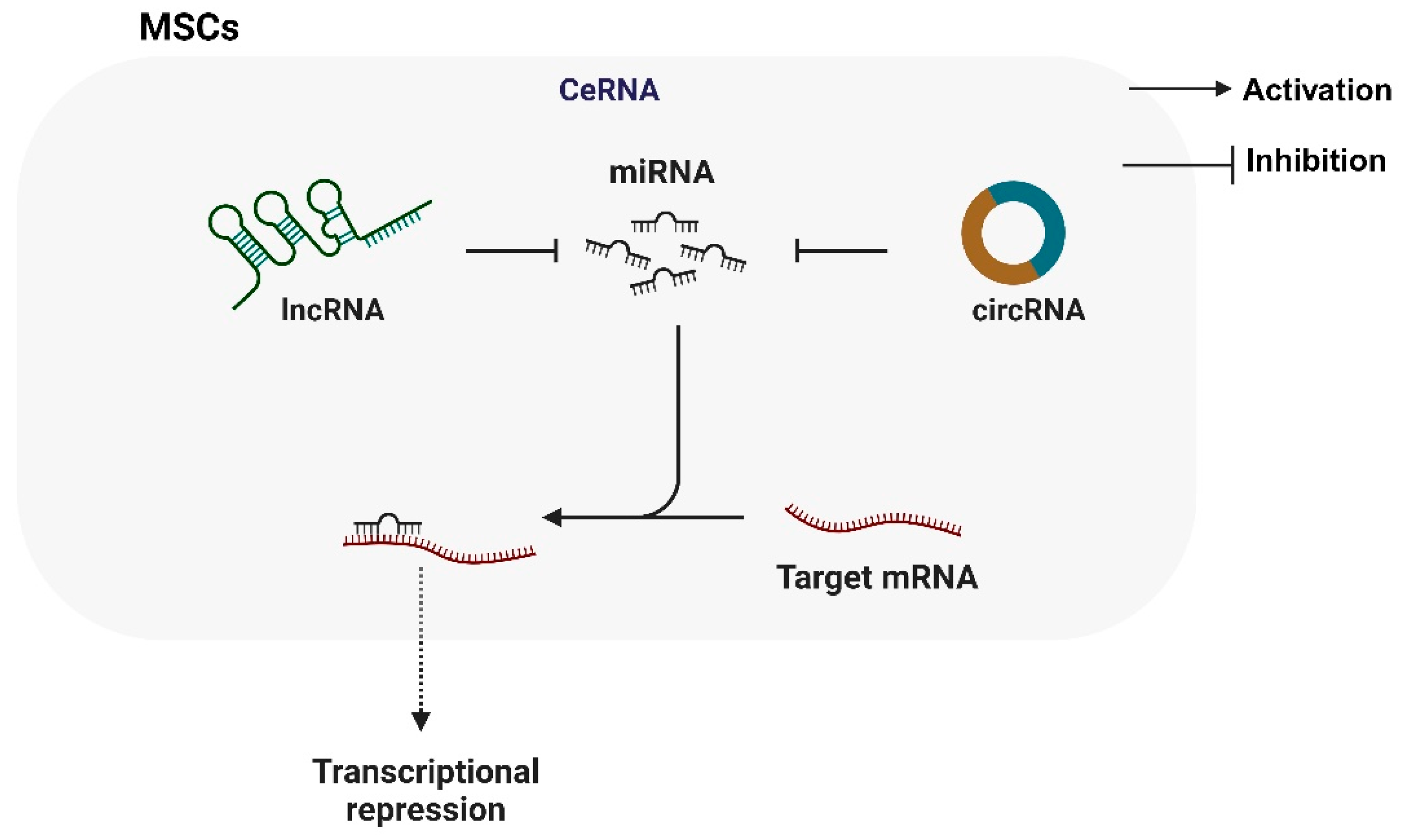 Biomolecules 14 00004 g003