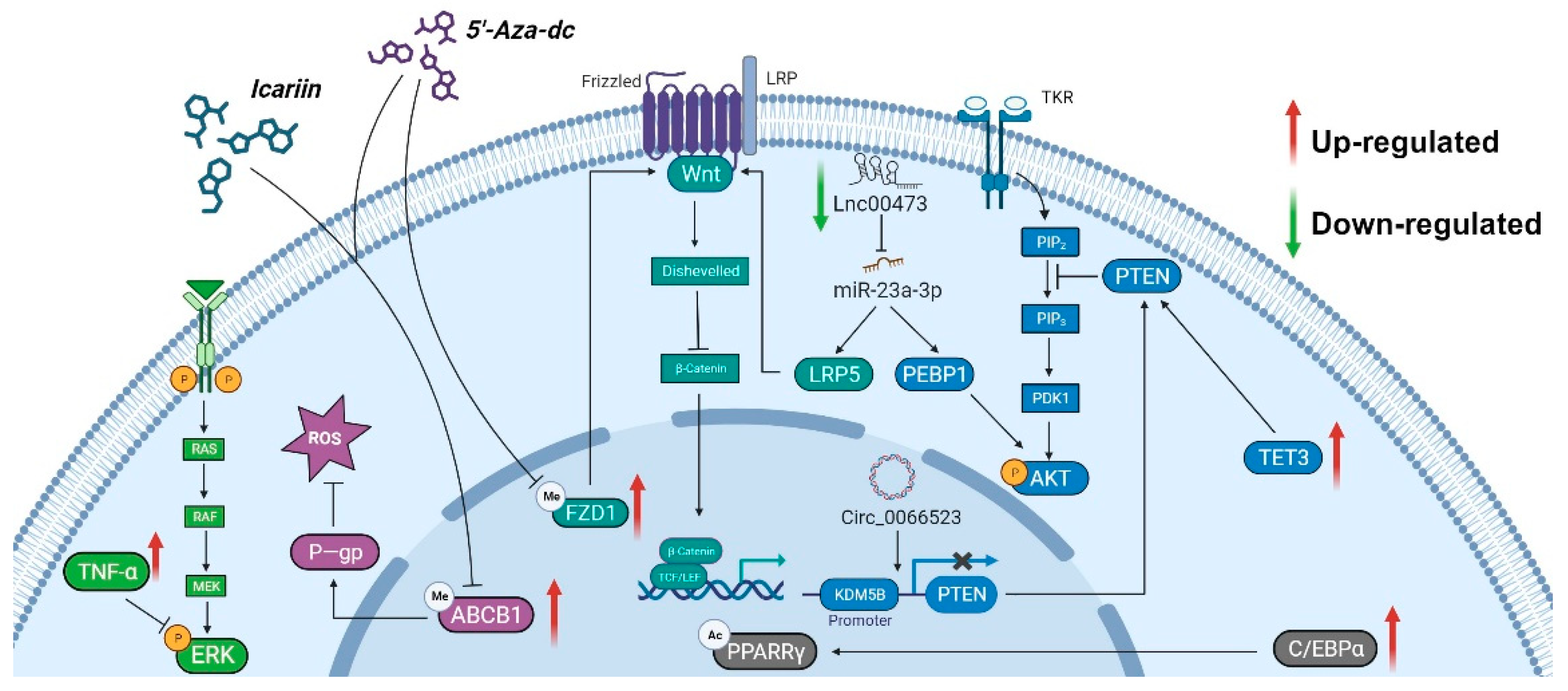 Biomolecules 14 00004 g005