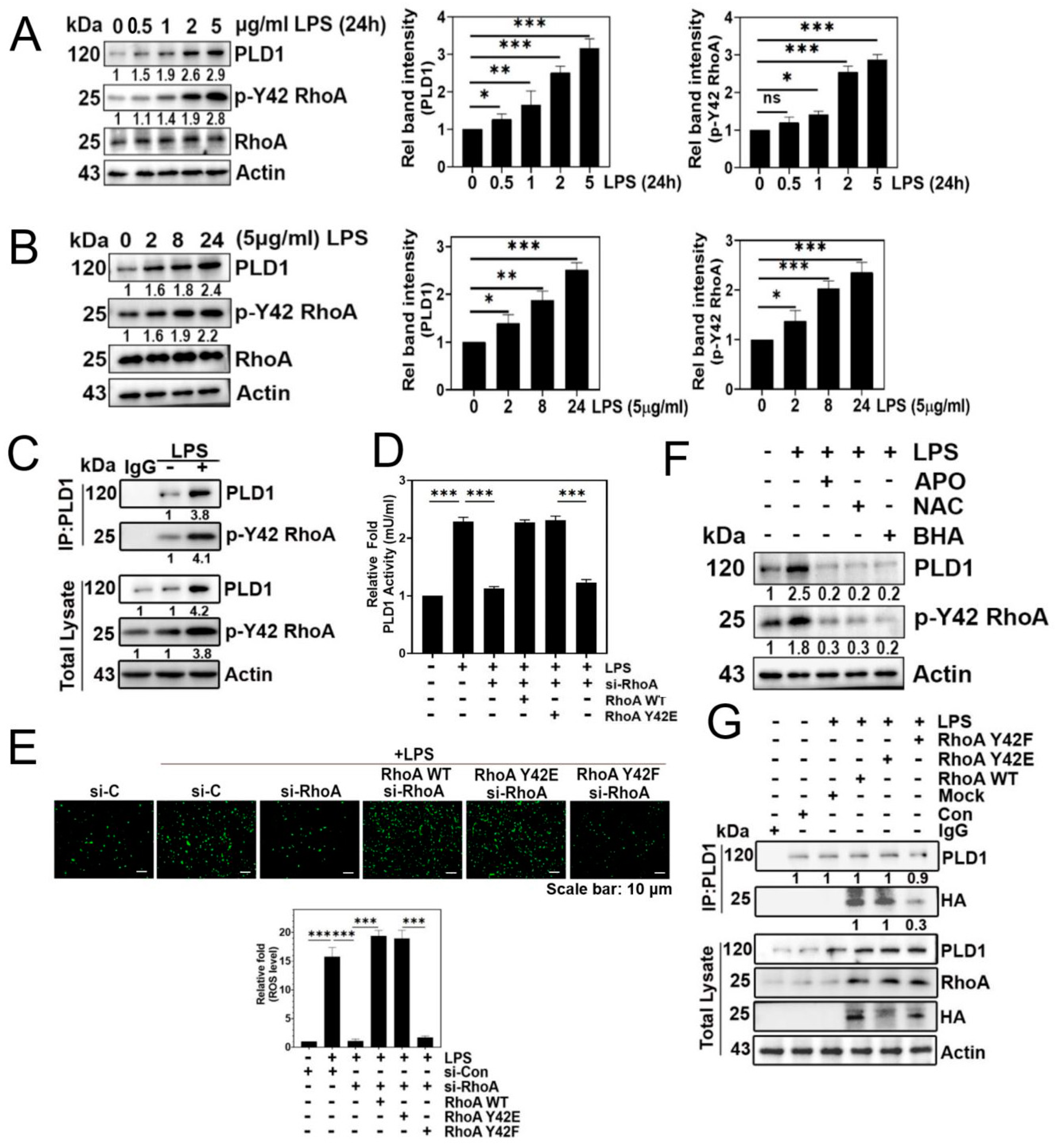 Biomolecules 14 00006 g002