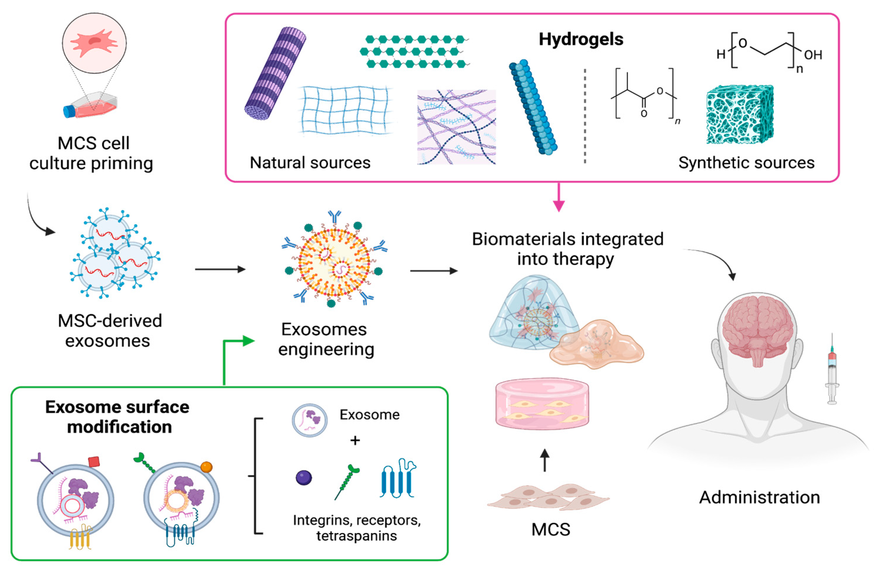 Biomolecules 14 00008 g002