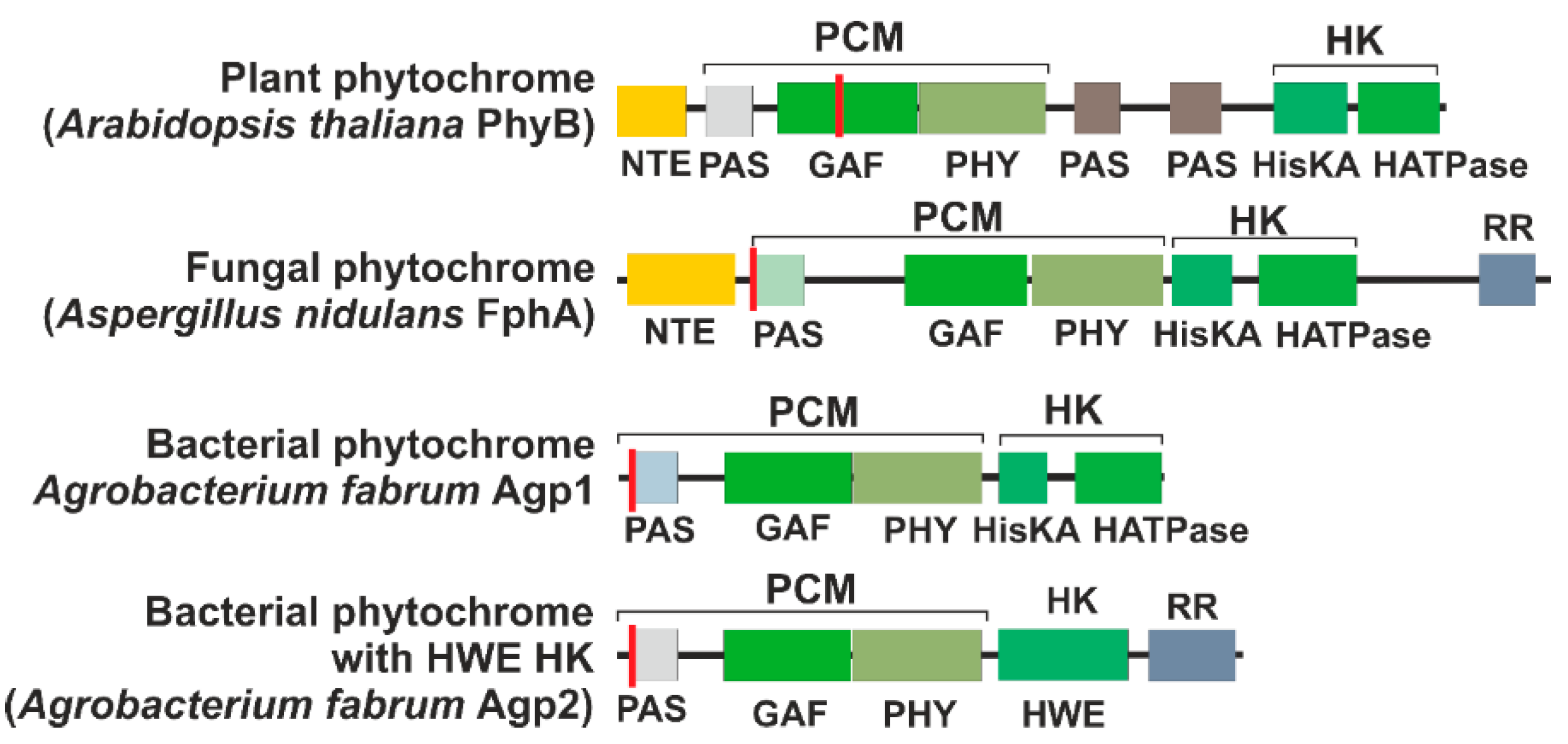 Biomolecules 14 00009 g002 Biomolecules 14 00009 g002
