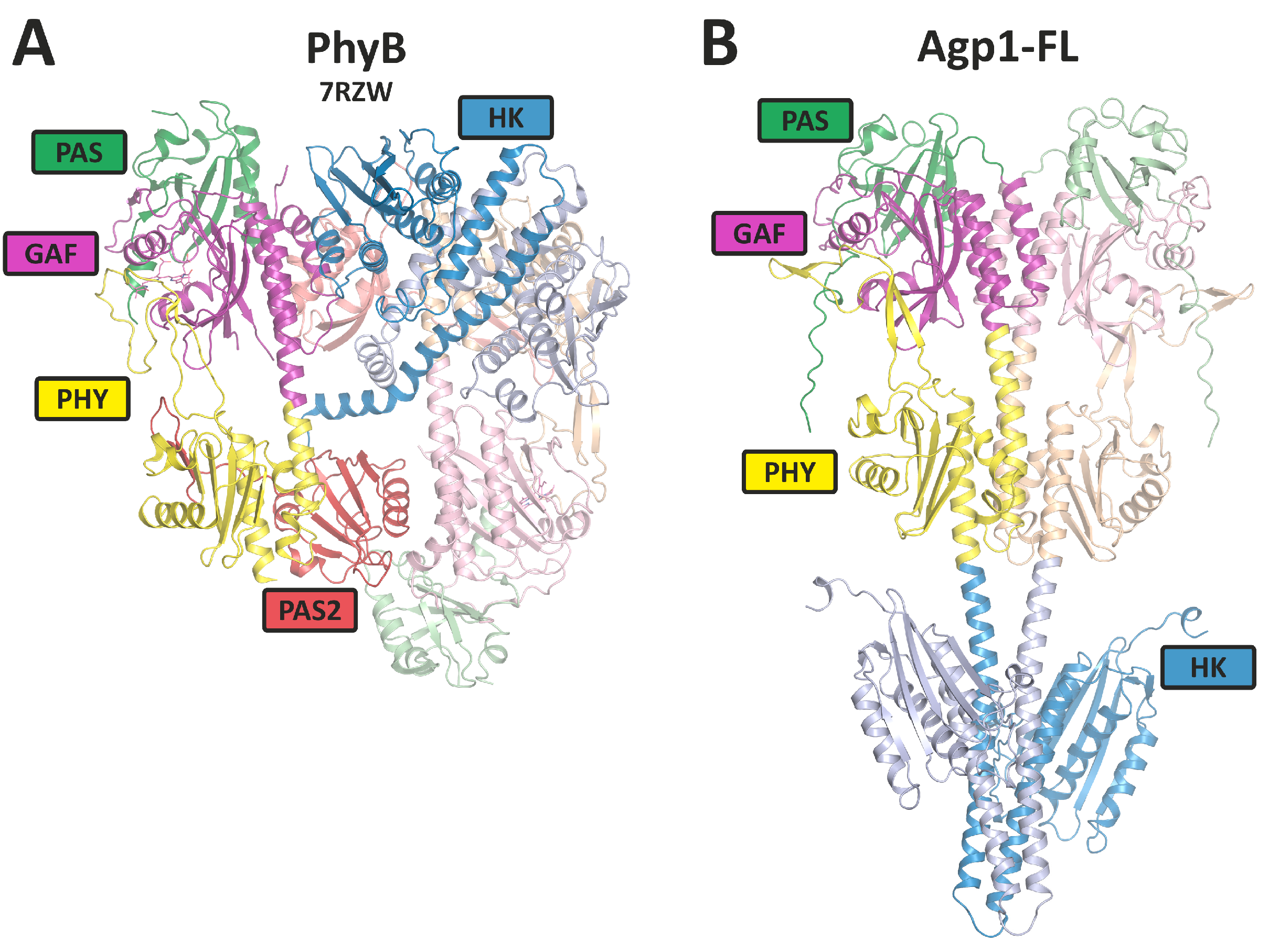 Biomolecules 14 00009 g003 Biomolecules 14 00009 g003