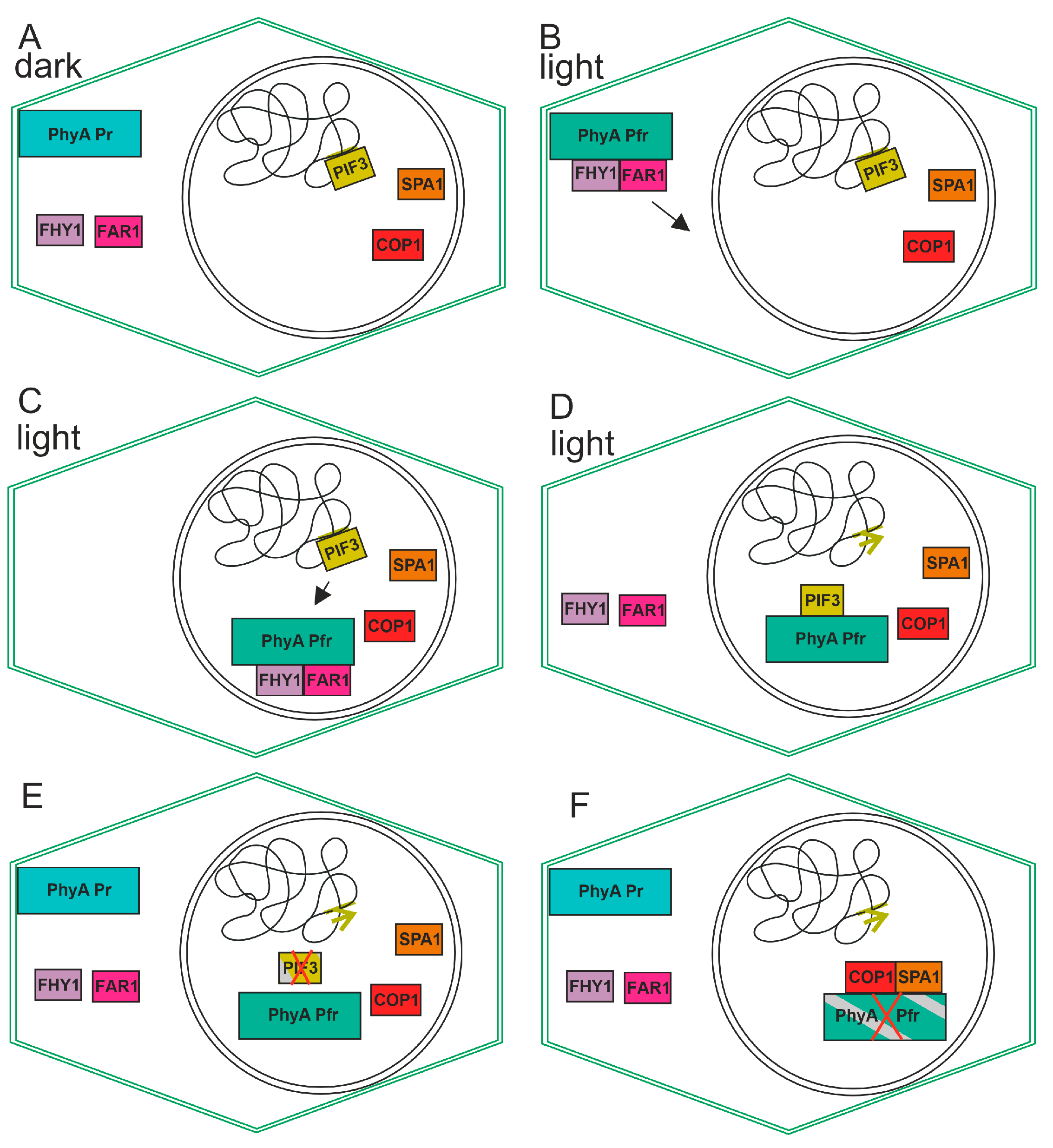 Biomolecules 14 00009 g004 Biomolecules 14 00009 g004